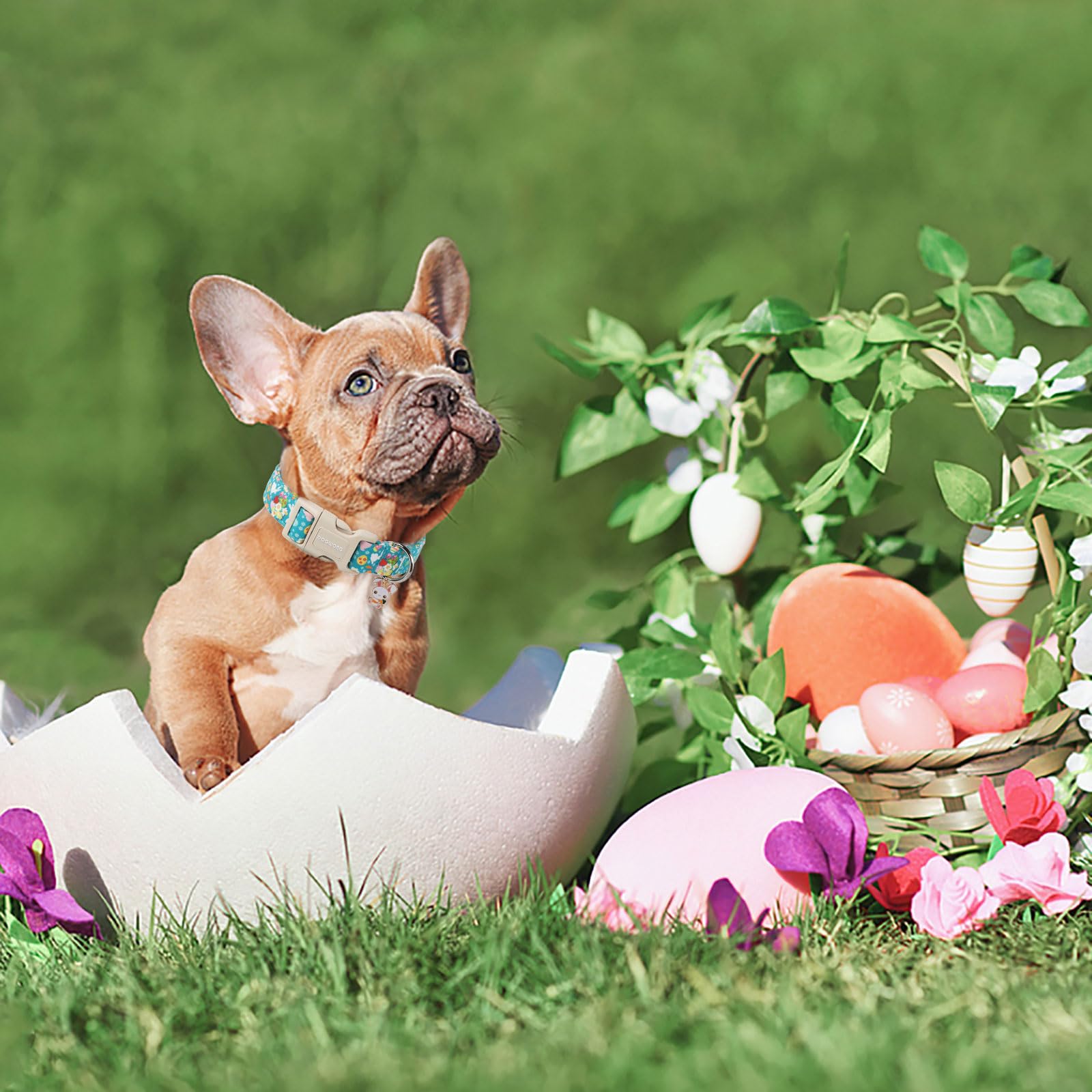 Dogwong Cute Flower Bunny Eggs Easter Dog Collar - Pink, Adjustable For Medium & Large Dogs