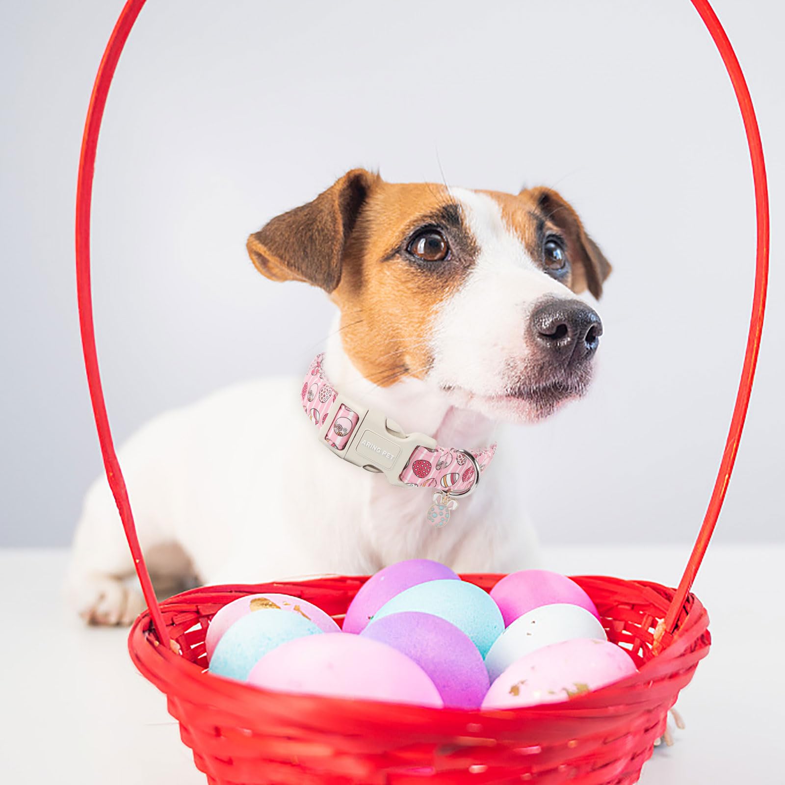 Aring Pet Easter Dog Collar-Cute Easter Eggs Dog Collar, Adjustable Easter Pink Striped Pet Collars Puppy Collar With Quick Rele