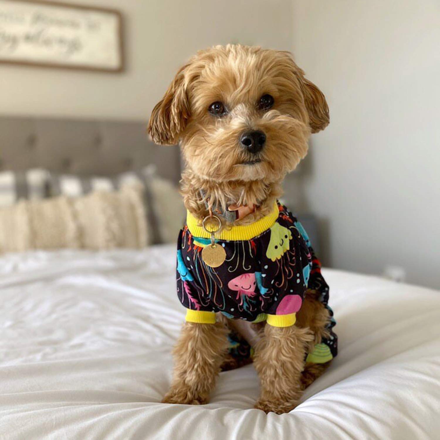 CuteBone Dog Pajamas Jellyfish X-Small Dog Jumpsuit Pet Apparel