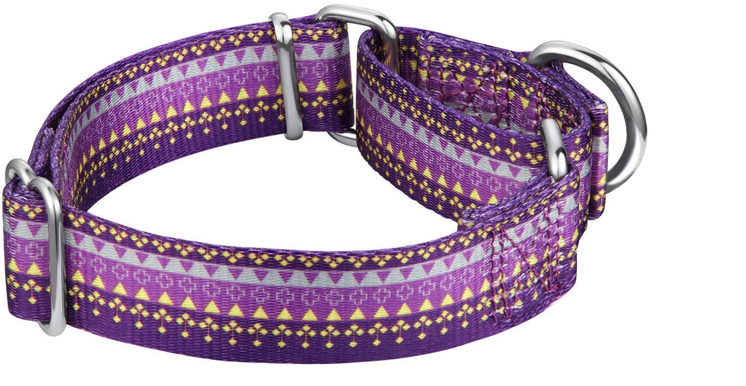 Dazzber Martingale Collar Floral Print Puppy Dog Collar - No Pull Pet Collar, Heavy Duty Adjustable Dog Collar, Small, Neck 10 Inch -15 Inch, Elegant Flowers (Dark Blue)