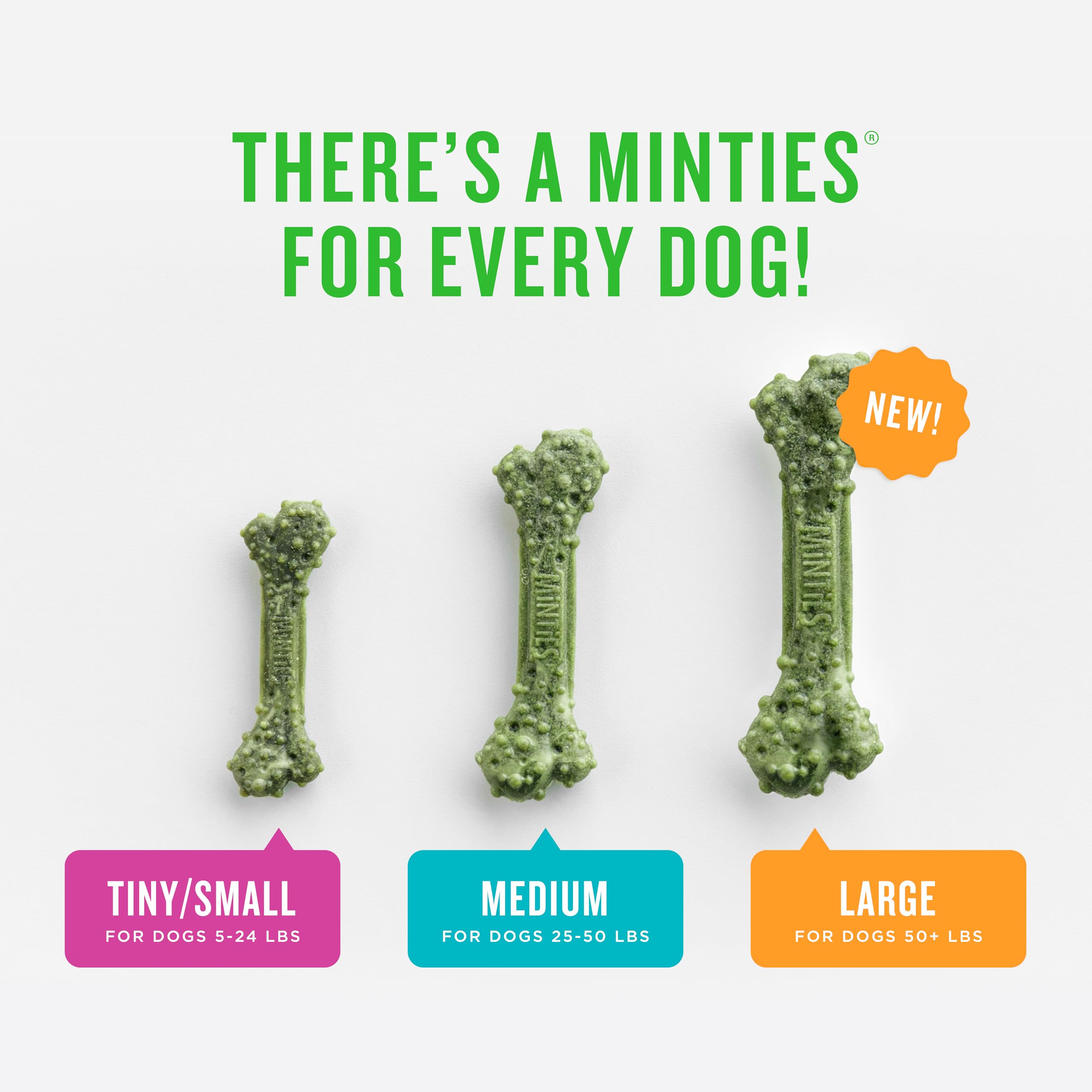Minties Dental Chews for Dogs, 20 Count, Vet-Recommended Mint-Flavored Treats for Medium Dogs 25-50 lbs, Dental Bones Clean Teet