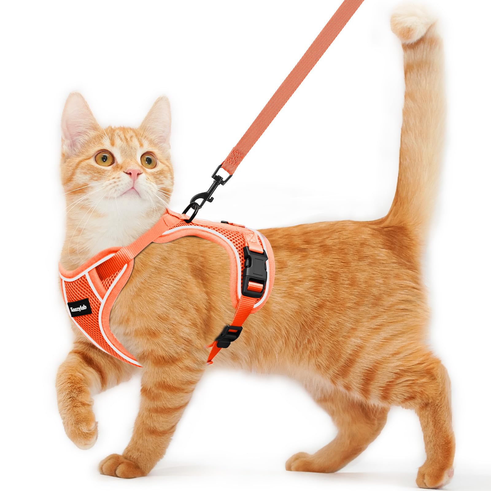 Cat Harness And Leash For Walking Escape Proof Soft Adjustable Cat Leash Breathable Comfortable Vest Easy To Wear Kitten Harness