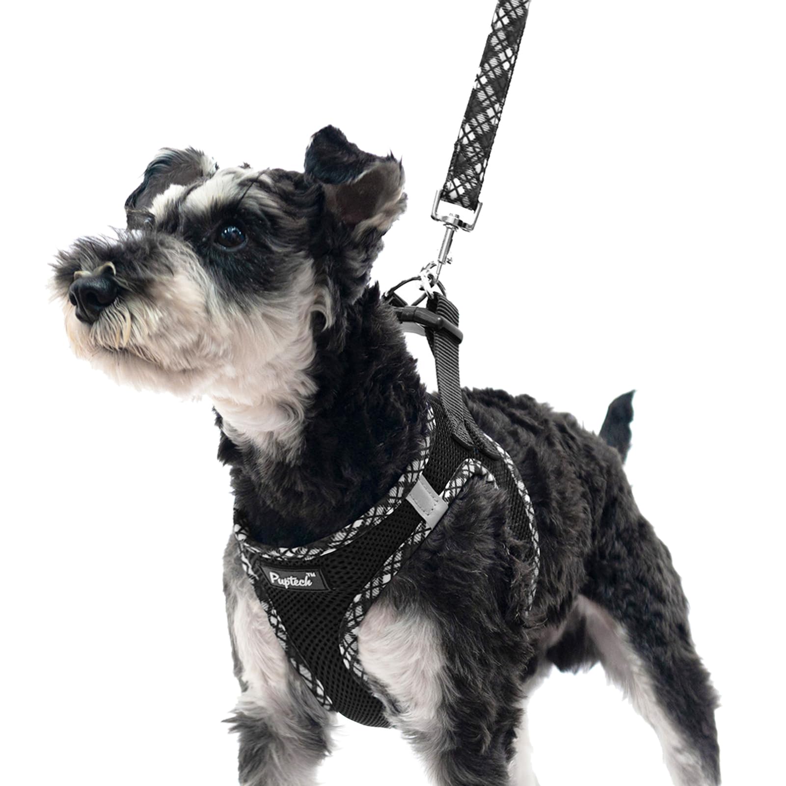 Pupteck Dog Harness And Leash Set For Small Medium Dogs No Pull Step-In Soft Mesh Puppy Cat Vest Harnesses Reflective At Night, Black M