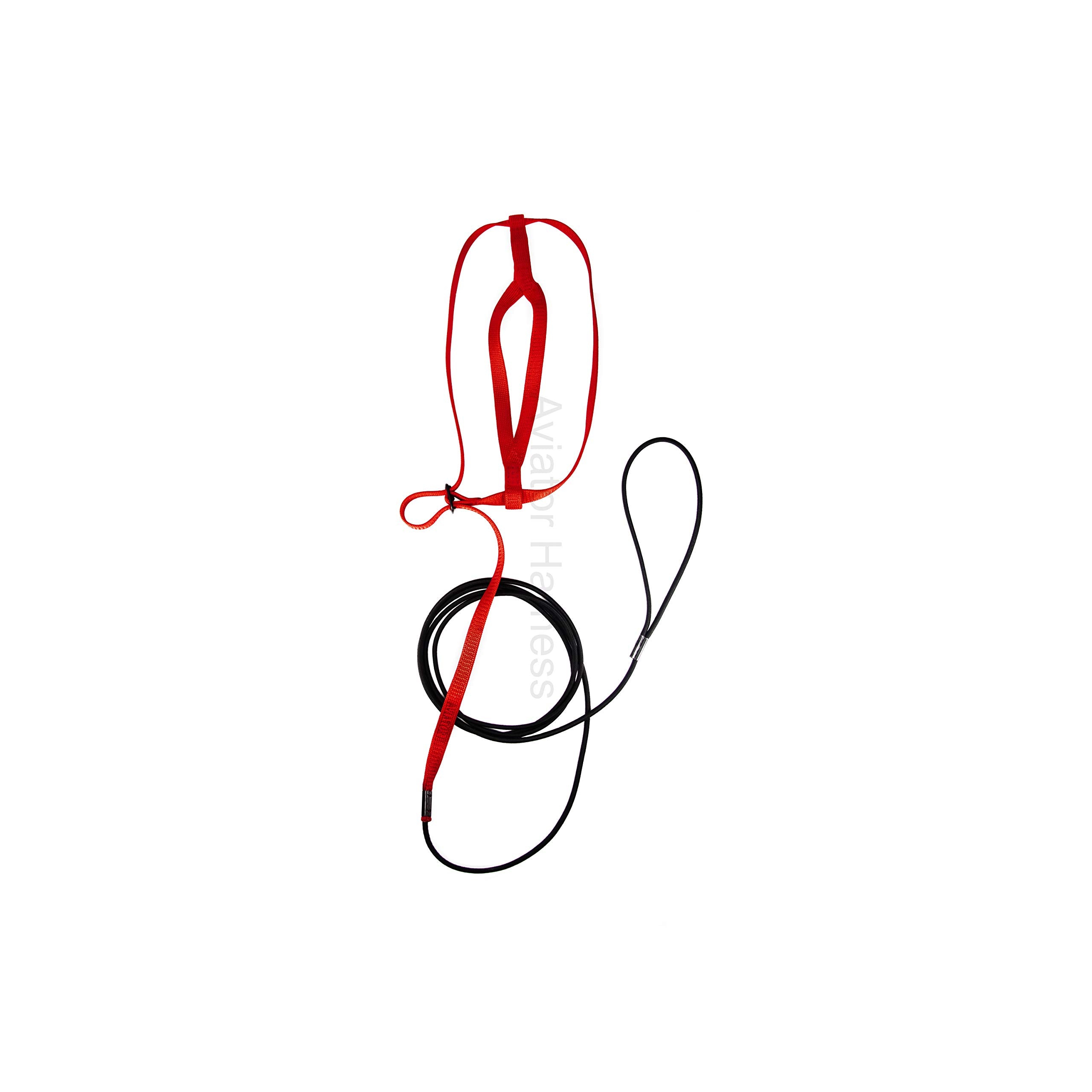 The Aviator Pet Bird Harness And Leash: Large Red