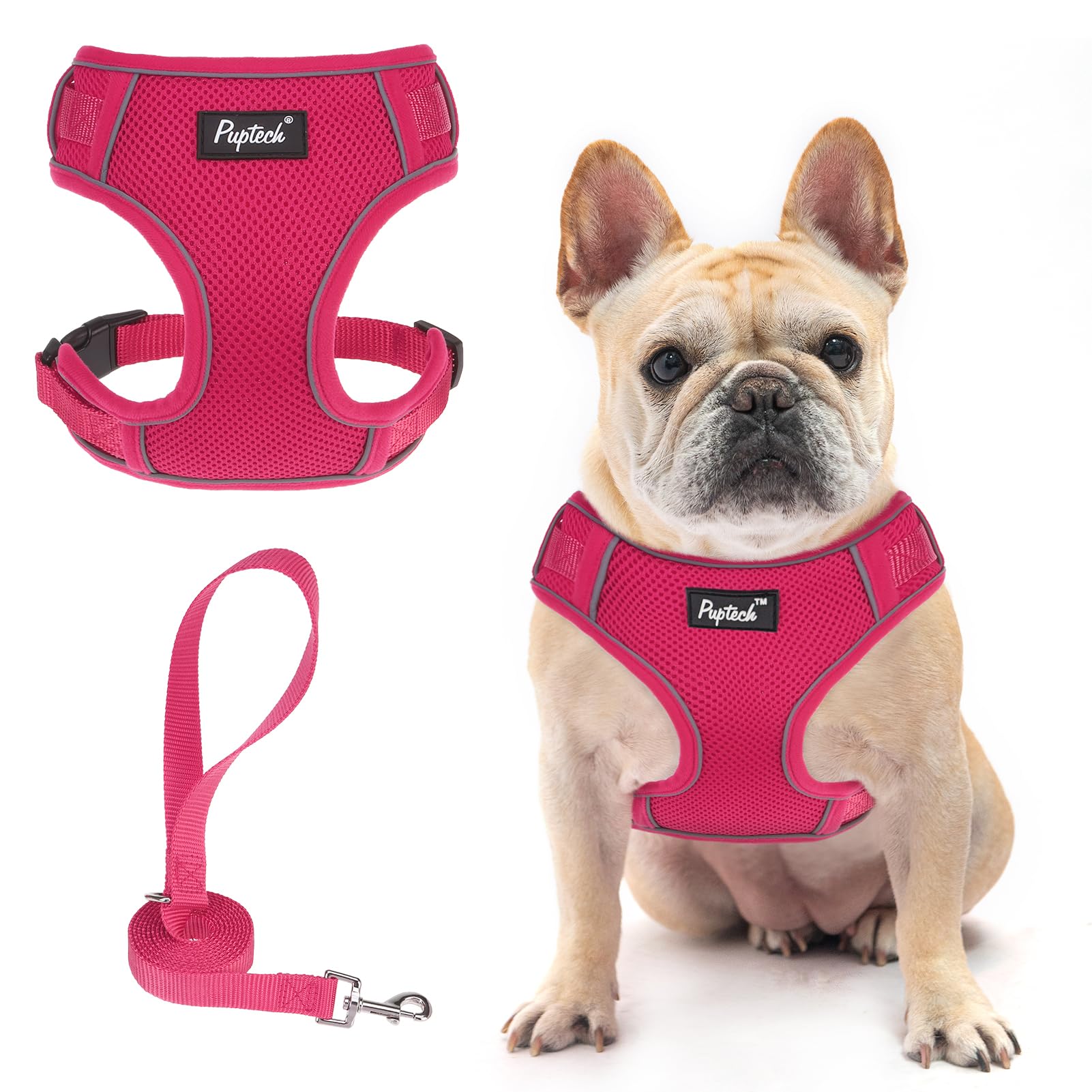 Pupteck Dog Harness And Leash Set For Small Medium Dogs No Pull, Soft Mesh Adjustable Puppy Cat Harness Reflective At Night, Fuc