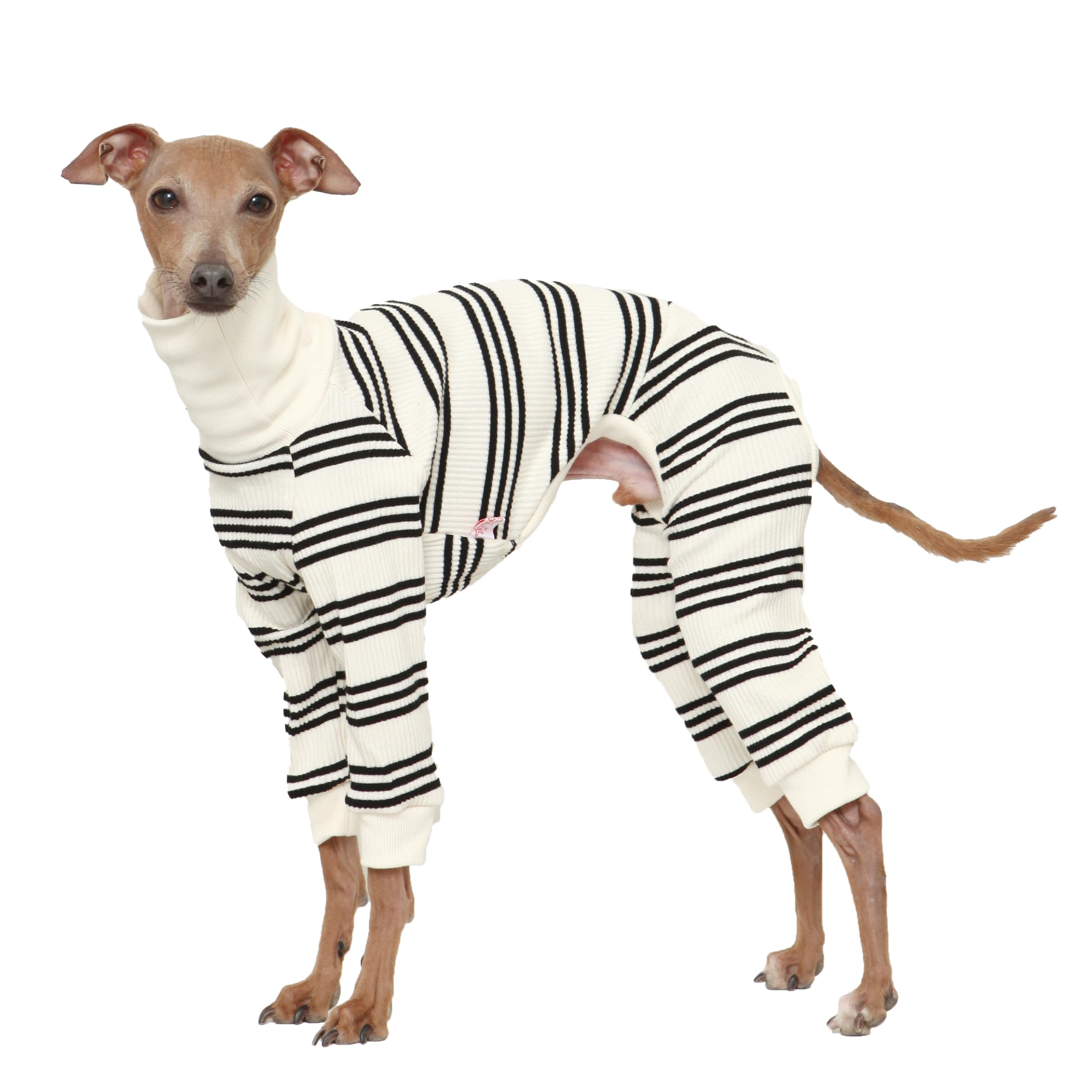 D Doggy Star Italian Greyhound Clothes Soft Stretchy Onesie Refined Stripe Outfit Whippet For Dog Coat (Xl,Onsi Black Str)