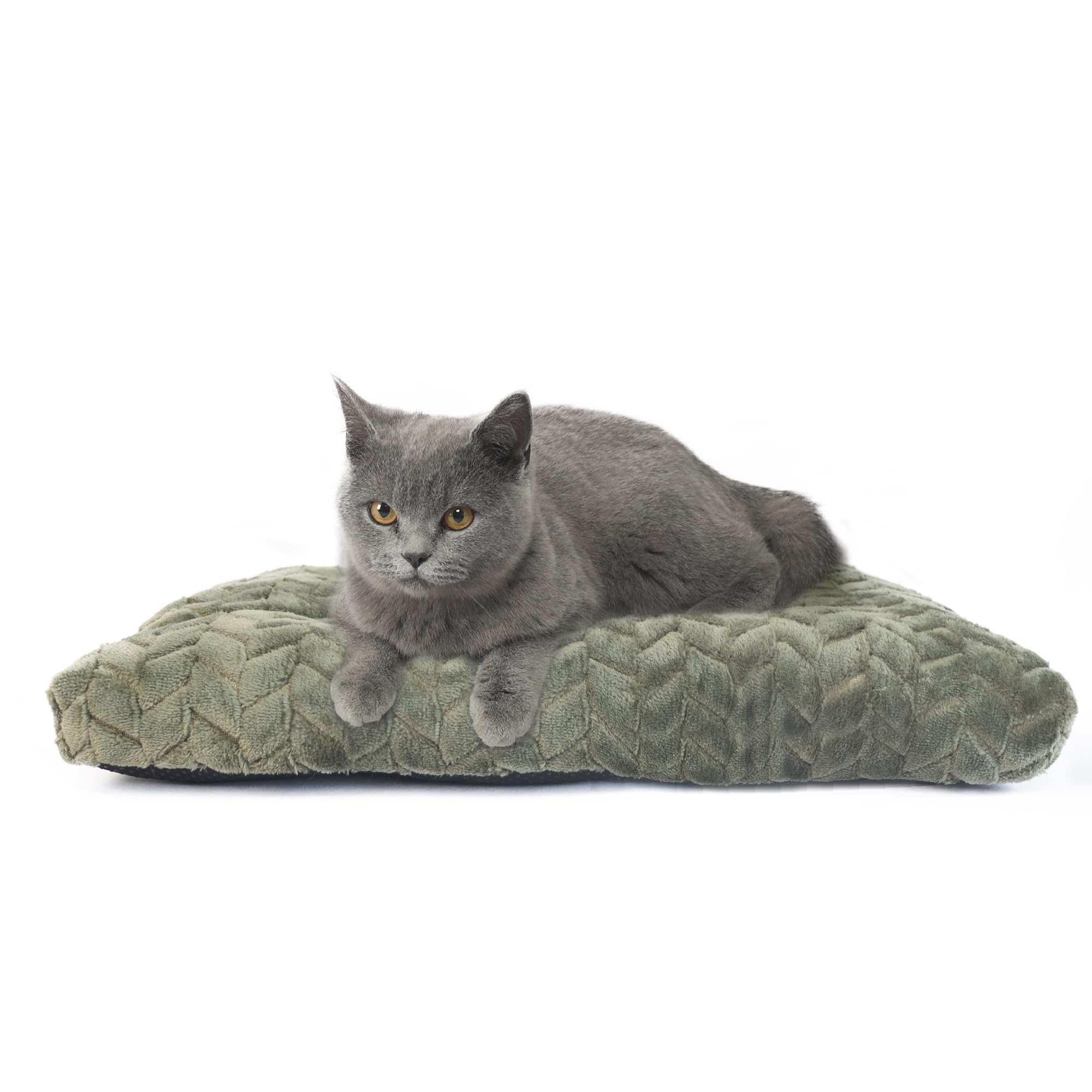 Cat Bed For Indoor Cats Washable Pillow Bed For Cages 18 Inch Small Dog Bed Anti-Slip Waterproof Warming Cozy Soft Pet Puppy Oli