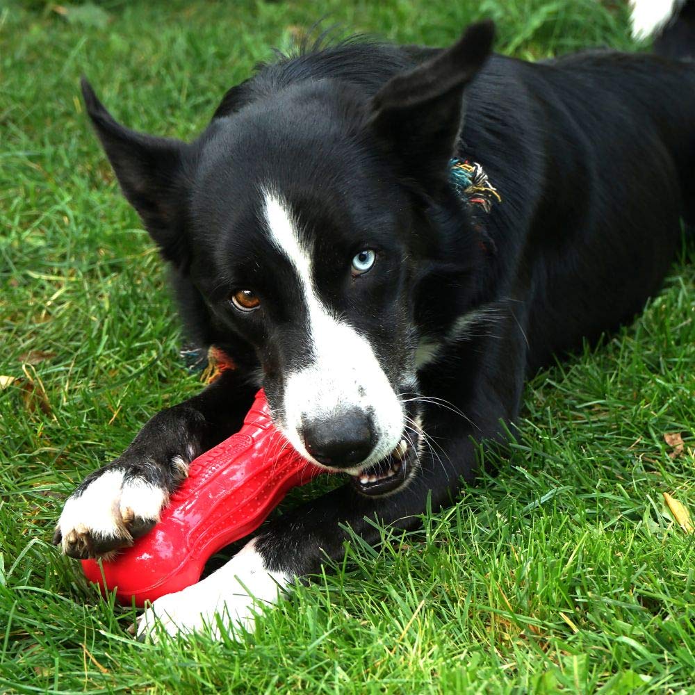 Kong Beezles Ball Dog Toy, Medium, Assorted