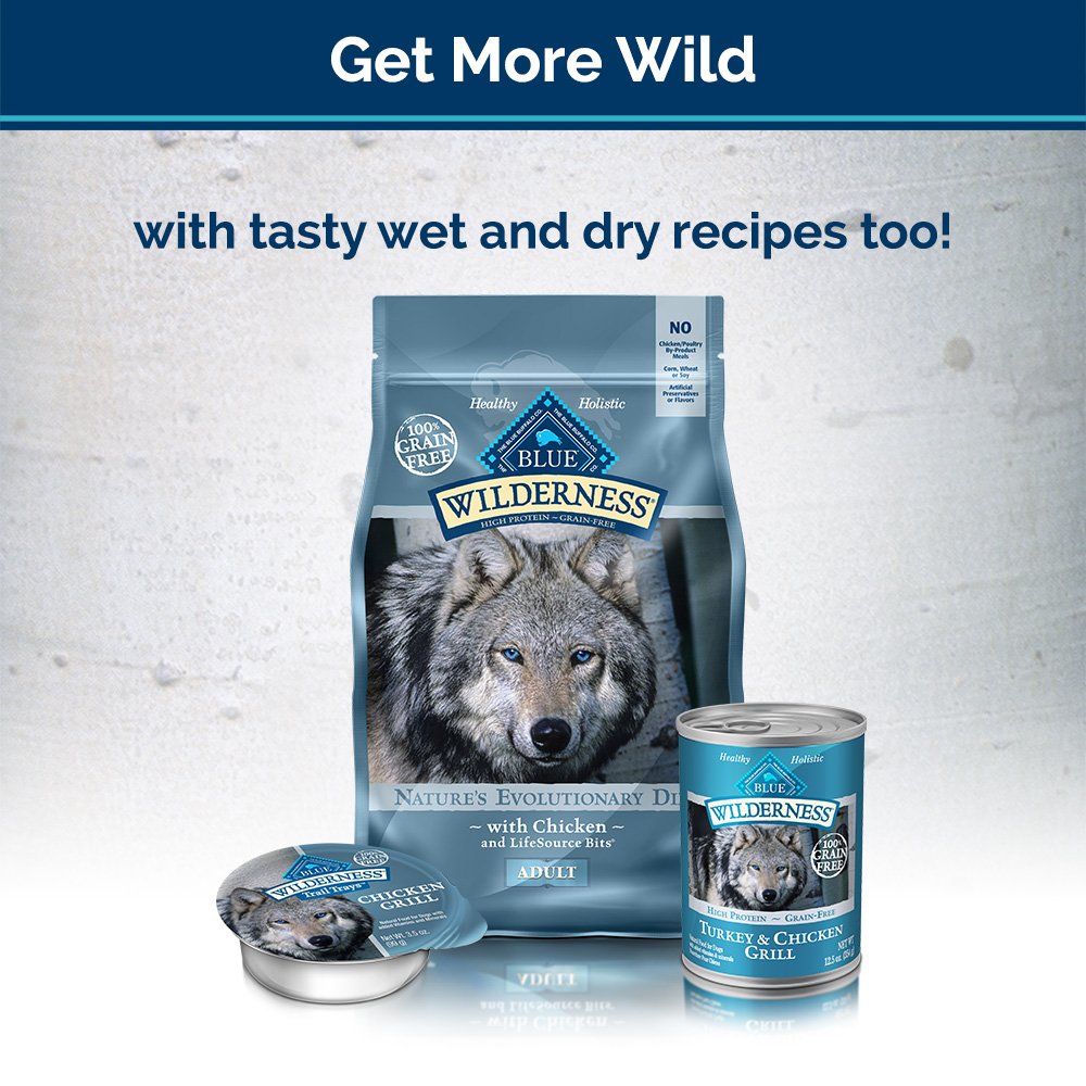 Blue Buffalo Wilderness Trail Treats High Protein Grain Free Dog Biscuits Crunchy Dog Treats, Turkey Recipe, 10-oz Bag