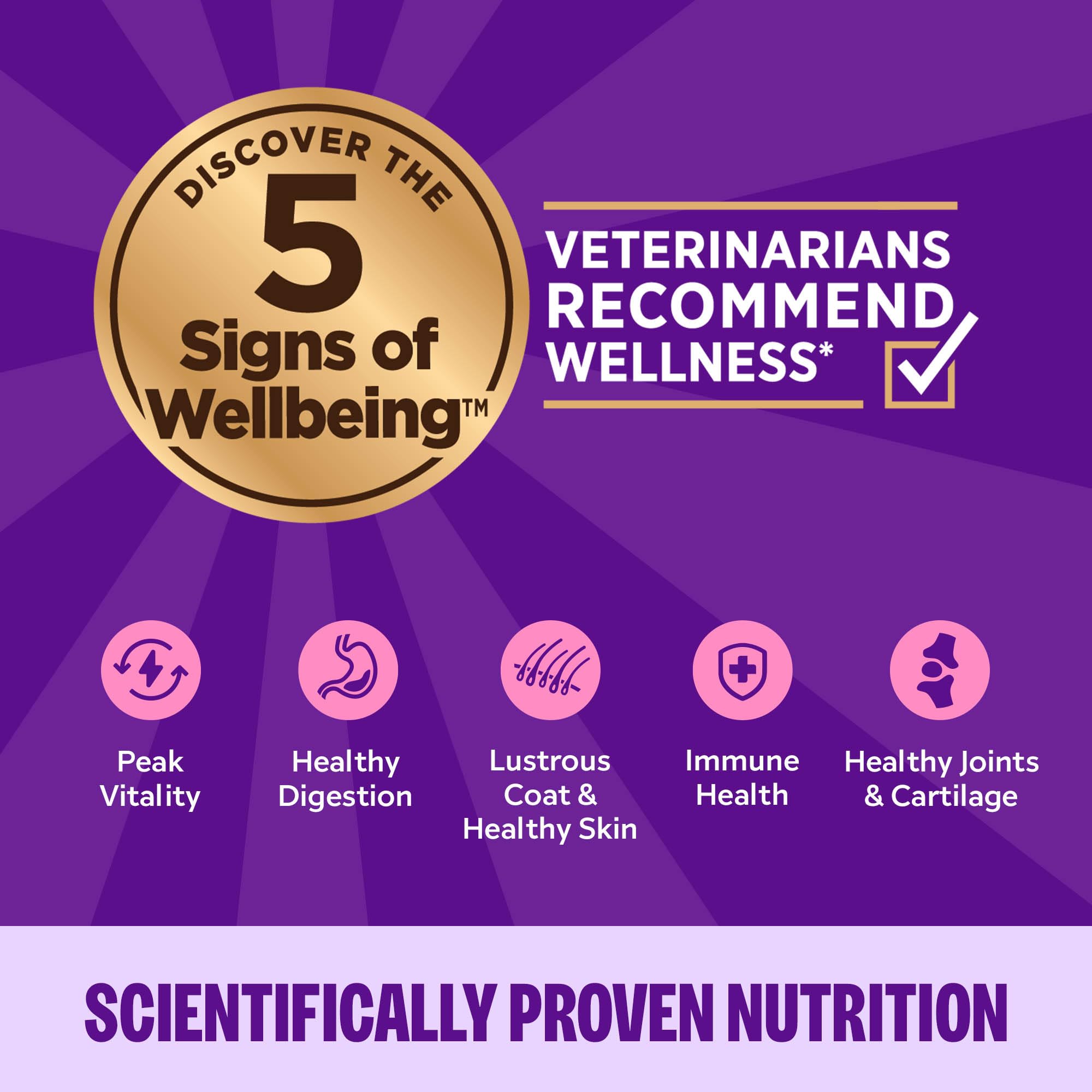 Wellness Complete Health Grain-Free Wet Canned Cat Food, Natural Ingredients, Made with Real Meat, All Breeds, Smooth Pate (Beef