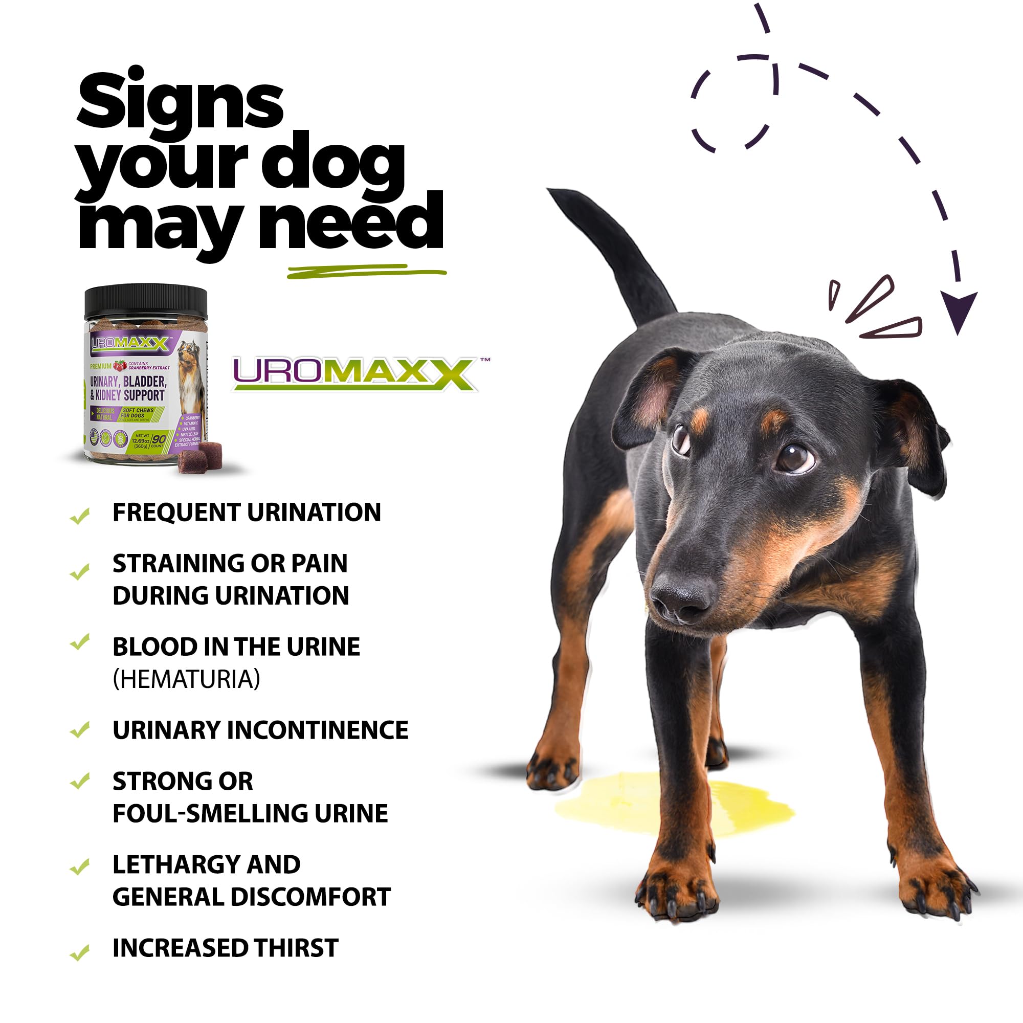 UroMAXX Dog Urinary Tract Infection Treatment, Bladder & Kidney Support for Dogs, Powerful Pet Care, Natural Soft Chews with Cra