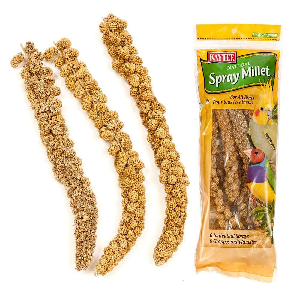 Kaytee Spray Millet Treat for Pet Birds, 3 Ounce