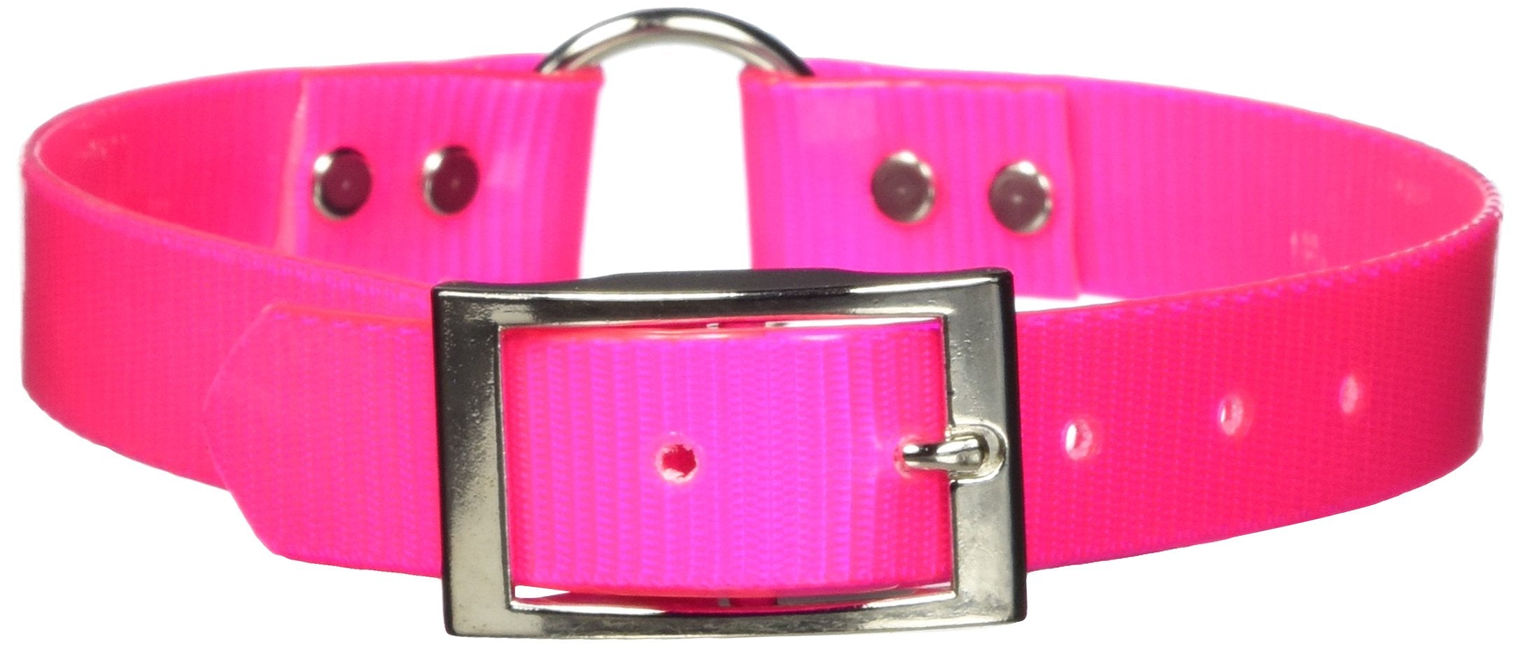 Omnipet Sunglo Ring-In-Center Dog Collar, 1' Wide, Pink, Fits 18.5'- 22' Neck Sizes, Vibrant Colors & Tough Construction For