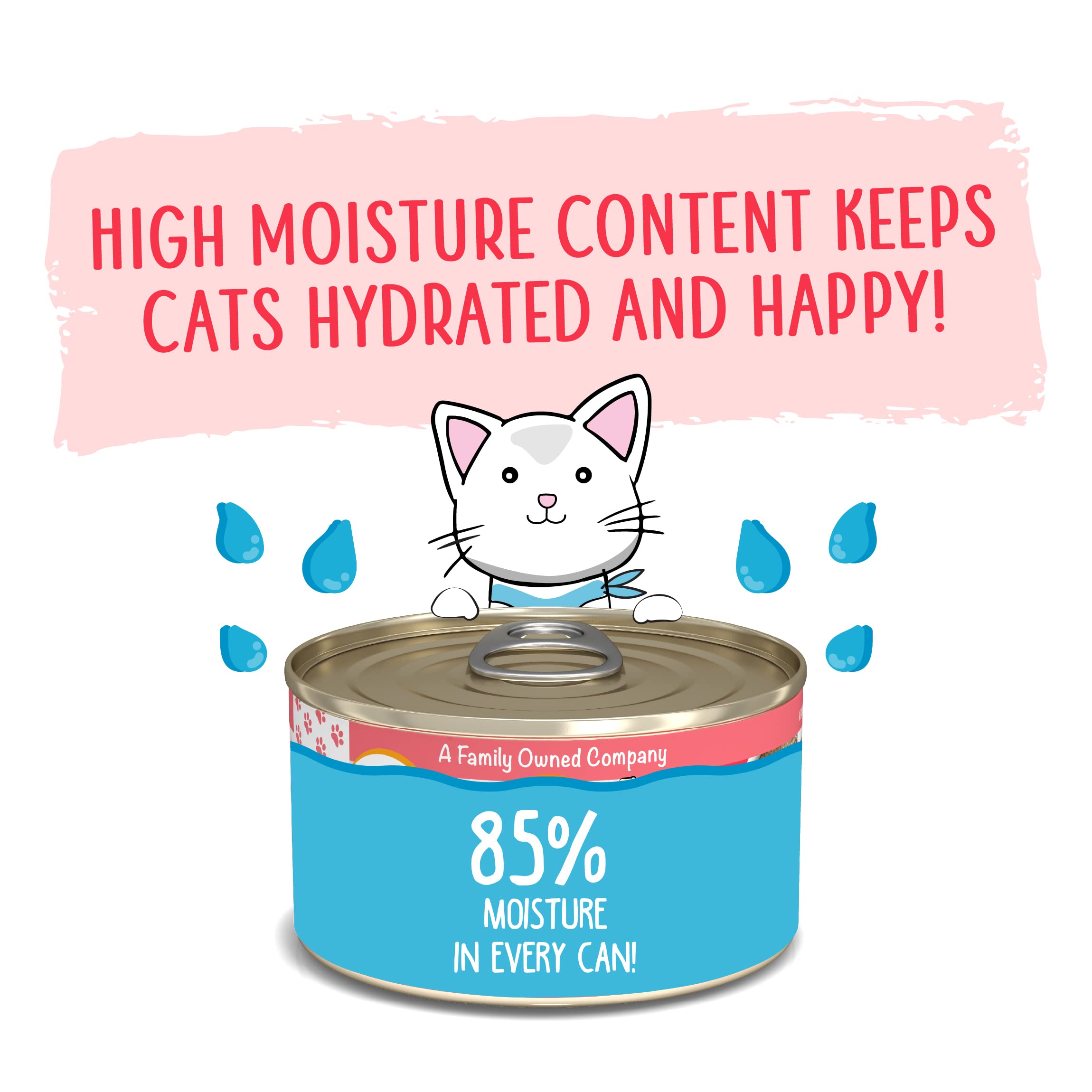 Weruva Wet Cat Food, Jolly Good Fares with Chicken and Salmon Pate, 3oz Can, Pack of 12