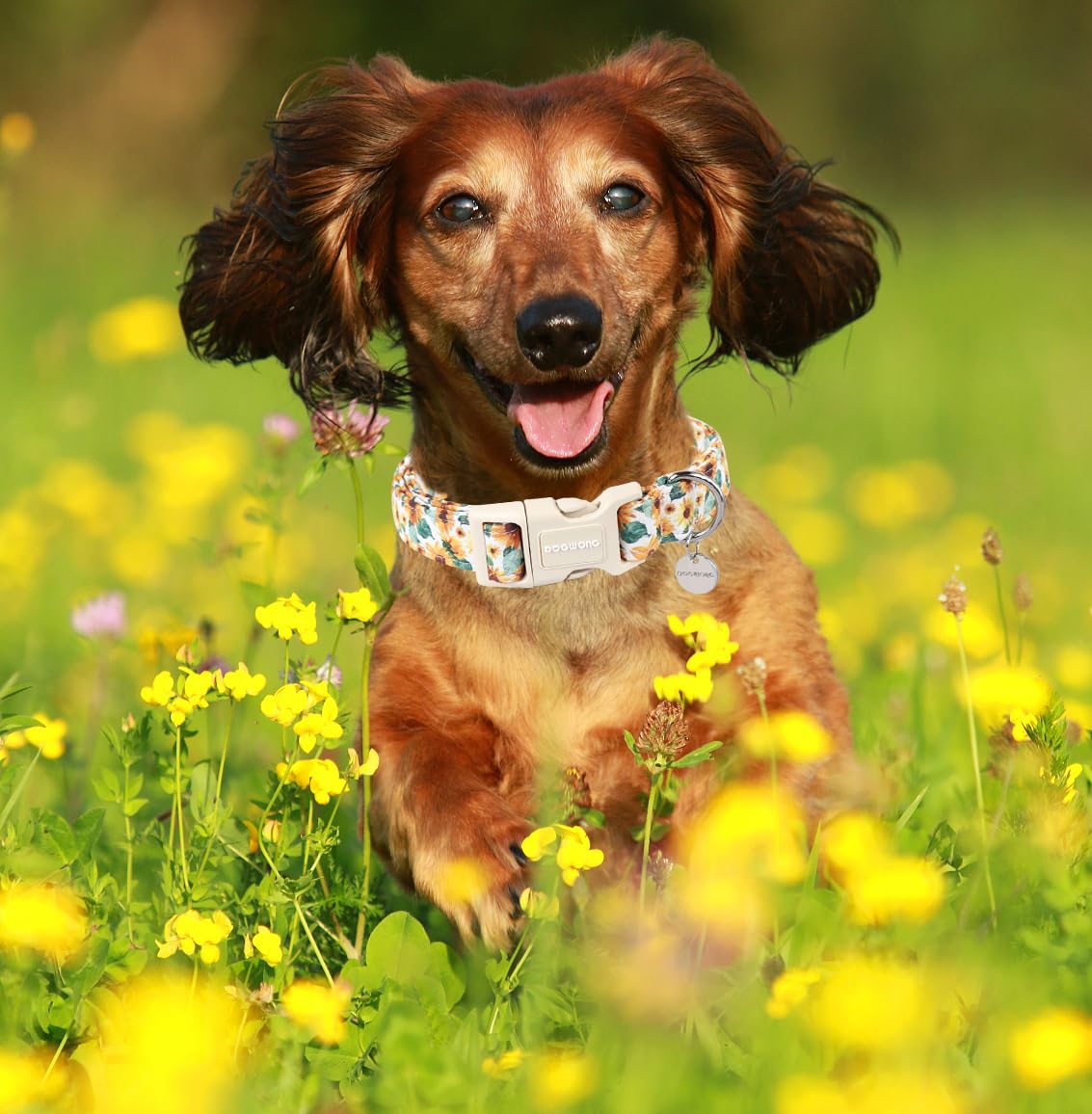 Dogwong Female Cotton Dog Collar - Sunflower Design, Durable Soft Natural Fabric Spring Collar For Small, Medium & Large Dogs