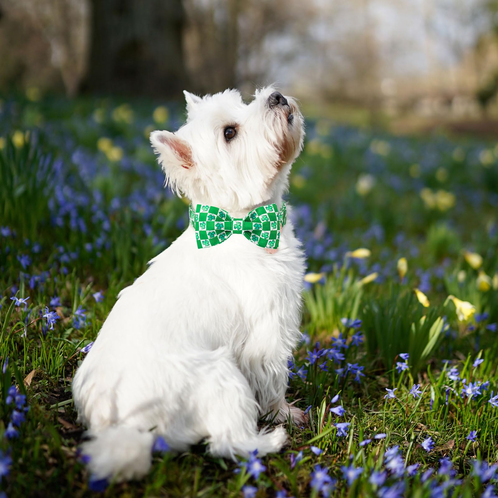 Dogwong St.Patrick'S Day Dog Collar Green Clovers Plaid Bowtie Dog Necklace Adjustable Dog Collar Bow Tie For Small Medium Large