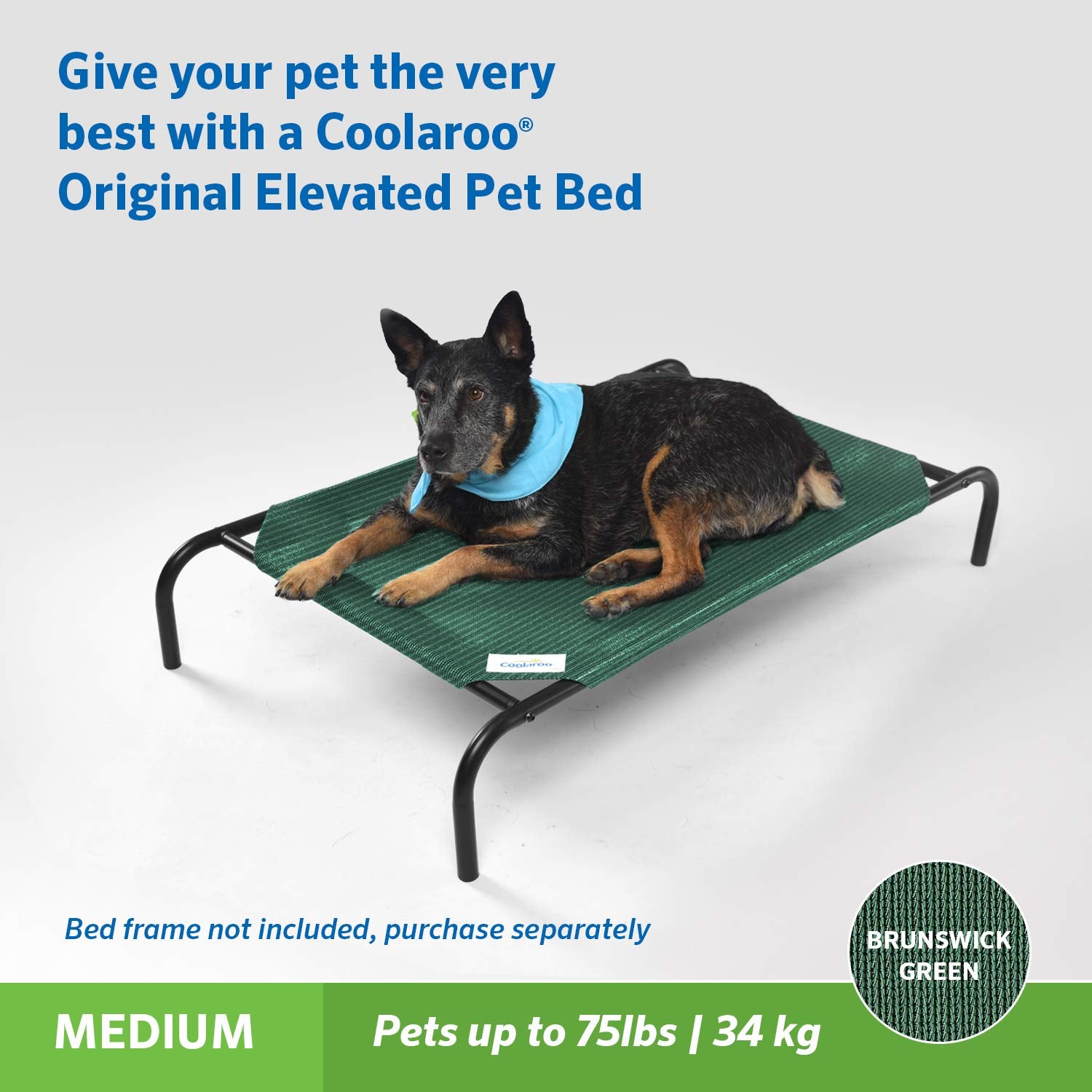 Coolaroo Original Pet Bed Replacement Cover, Medium 35"x25.5", Brunswick Green, HDPE Material, Model 317706