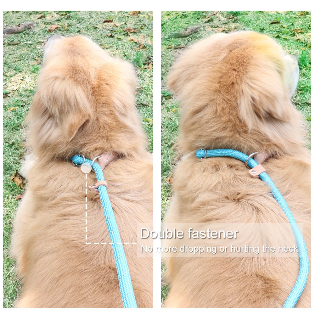Grand Line Slip Lead Dog Leash, 5Ft Reflective Slip Rope, Puppy Training Walking Controlling Lead, Slip Collar Pet Leash For Small, Medium, Large Dogs (Blue, Large-3/5In X 5Ft)
