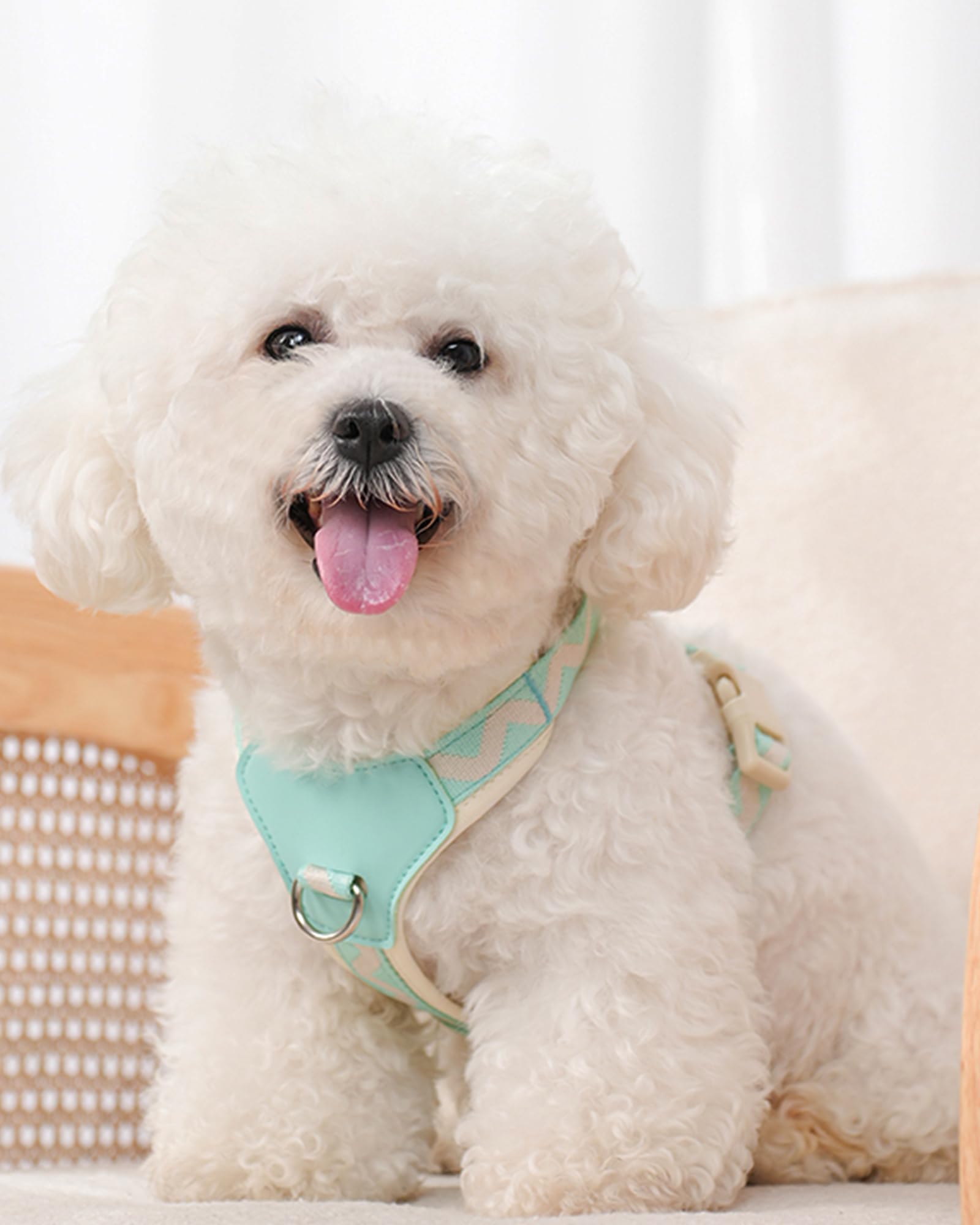 Petank Blue Medium Dog Harness For Medium Dogs, No Pull Dog Harness With 2 Leash Clips, Easy Walk Dog Harness Medium Sized Dog,