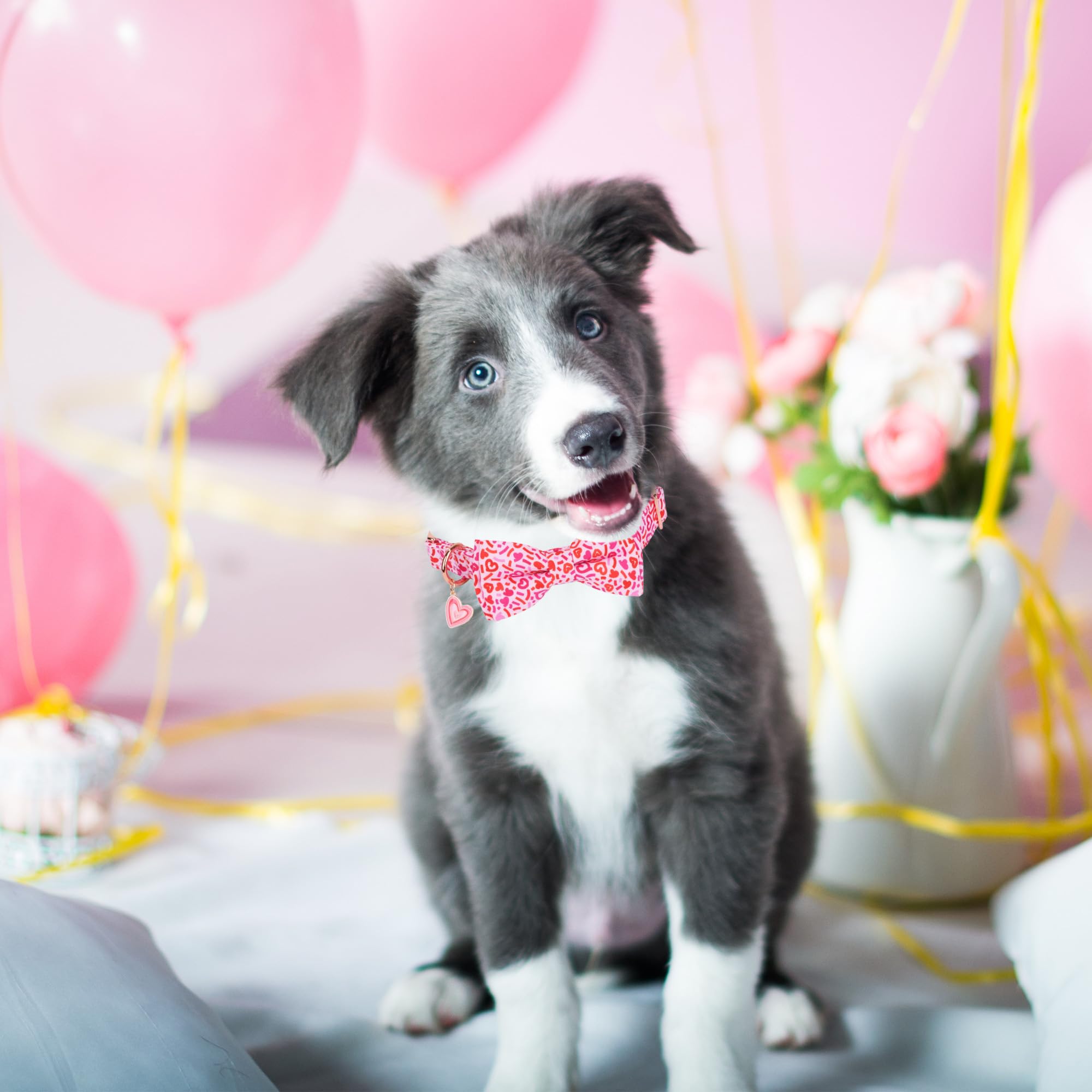 Adoggygo Valentine Dog Collar With Bow, Metal Buckle, Adjustable Pink Heart Bowtie Pet Valentine Collars For X-Small Dogs (X-Sma
