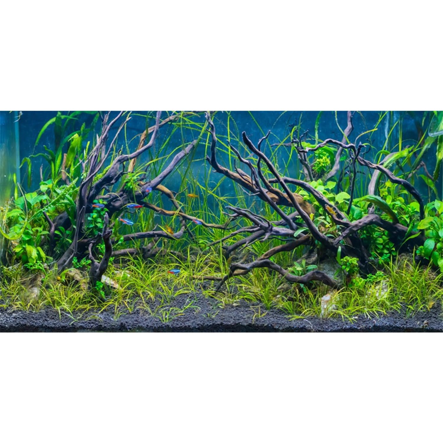 Awert 24X12 Inches Tropical Fish Tank Background River Bed & Lake Aquatic Plant Undersea Tree Branch Aquarium Background Vinyl