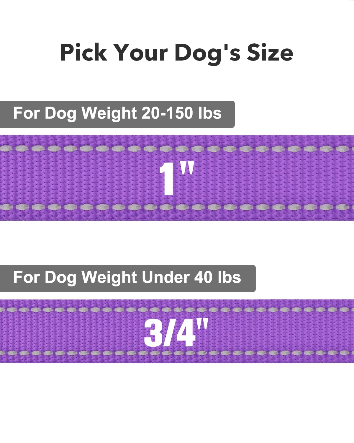 Taglory Double-Sided Reflective Heavy Duty Dog Leash 5Ft,Neoprene Padded Handle And Metal Hook Pet Training Leashes For Small Medium Large Dogs, Purple