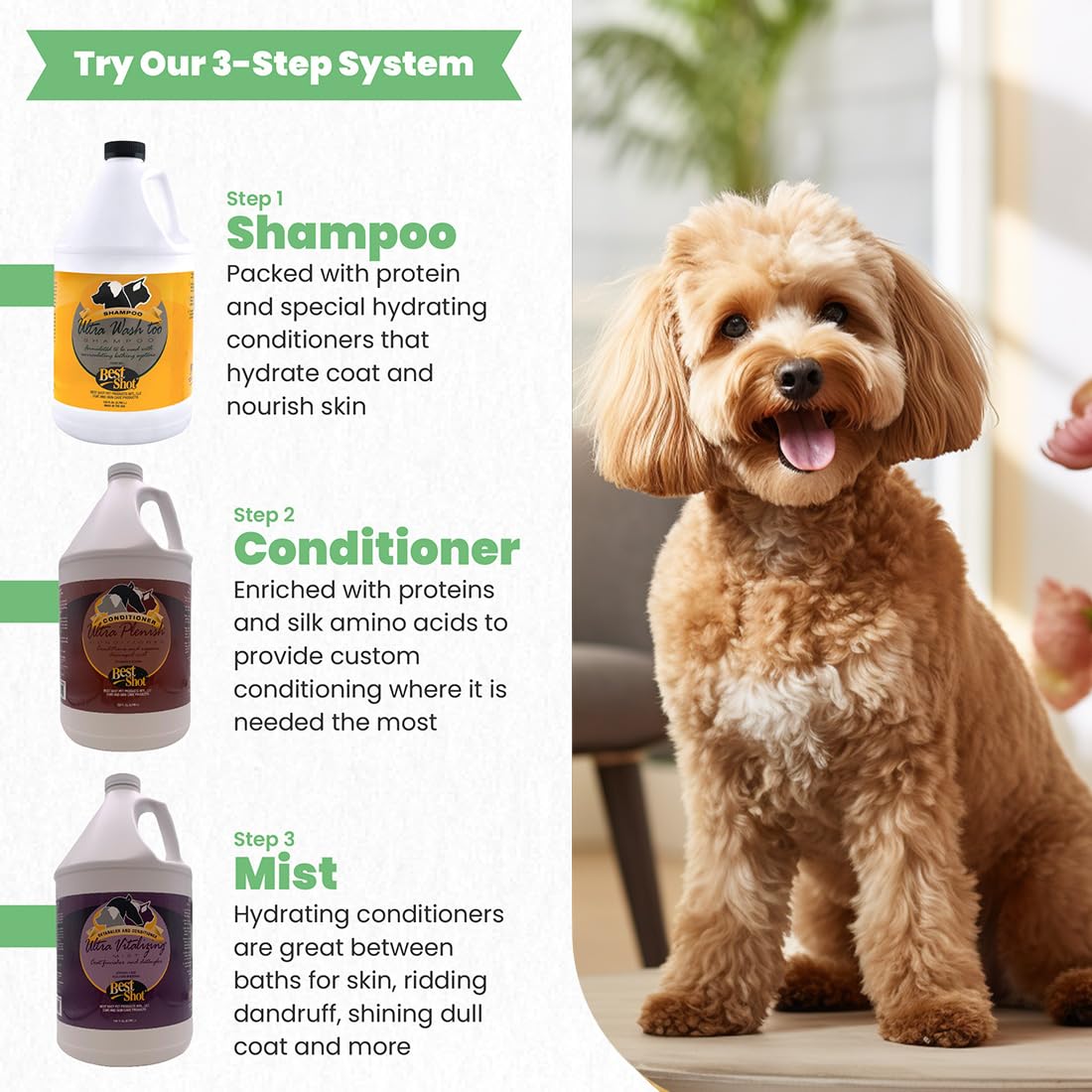 Best Shot Ultra Wash Too Shampoo With Pet Coat Release Technology, Coat And Skincare Product For Dogs And Cats, Quick-Rinsing, 1