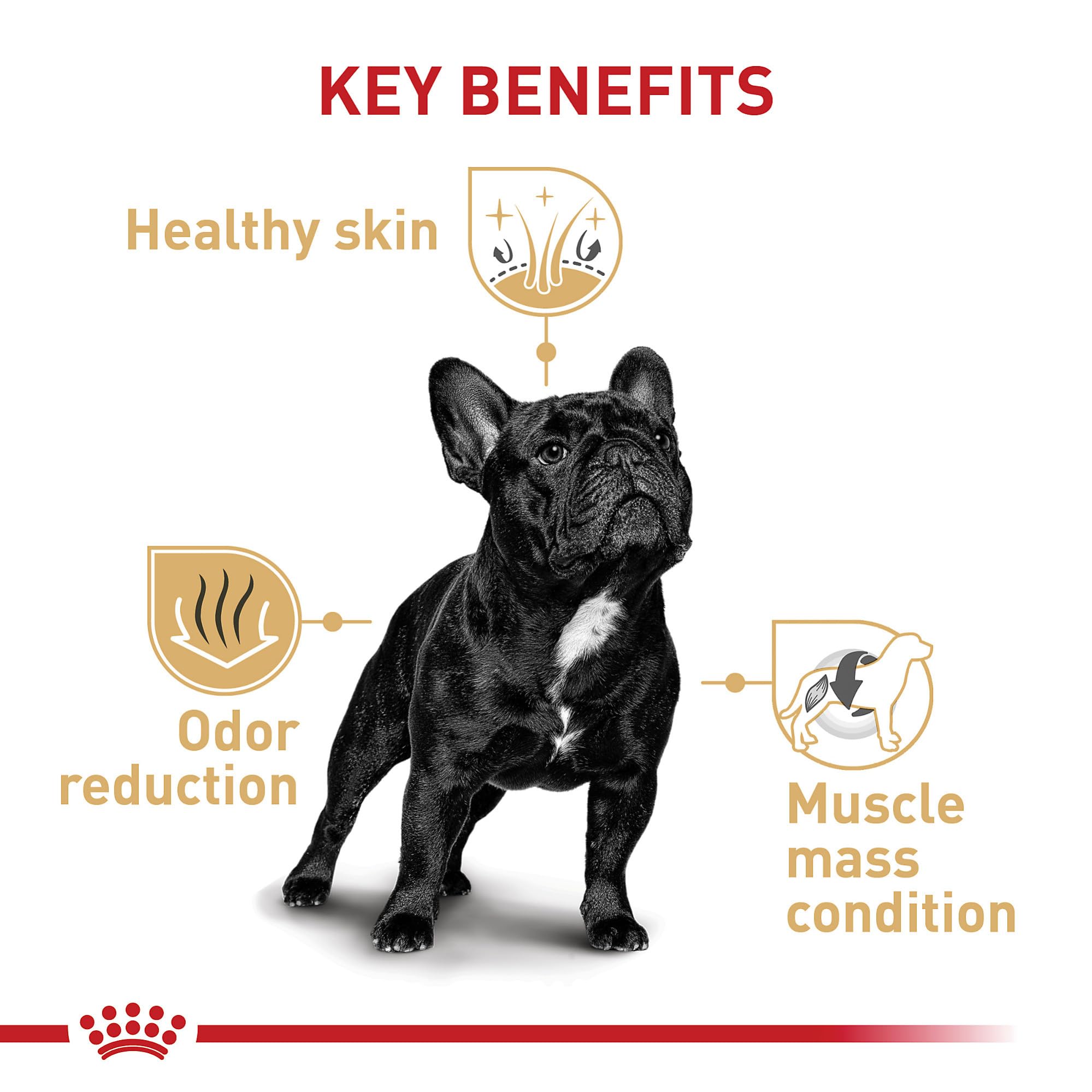 Royal Canin Breed Health Nutrition French Bulldog Adult: Dry Dog Food, 17 lb bag