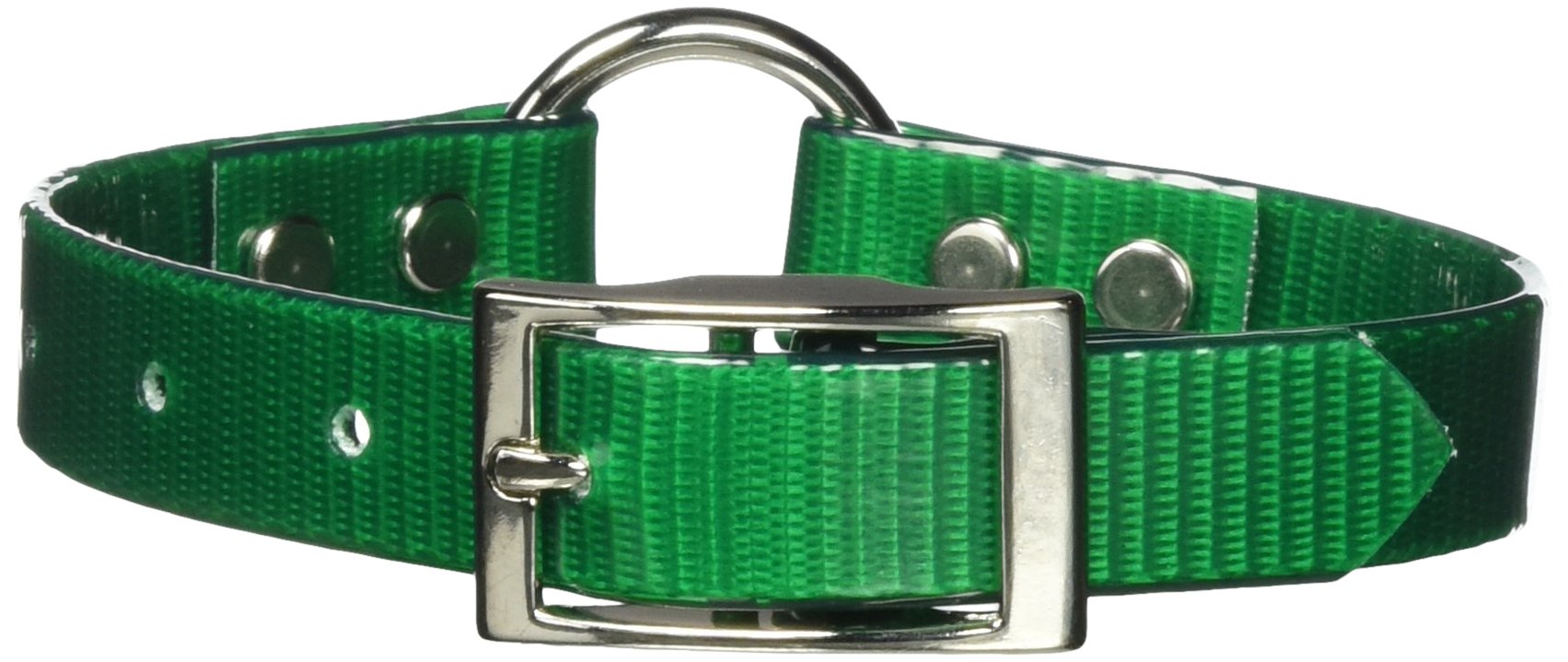 Omnipet 3/4 X 16 Sunglo Ring In Center Style Collar, Medium, Green