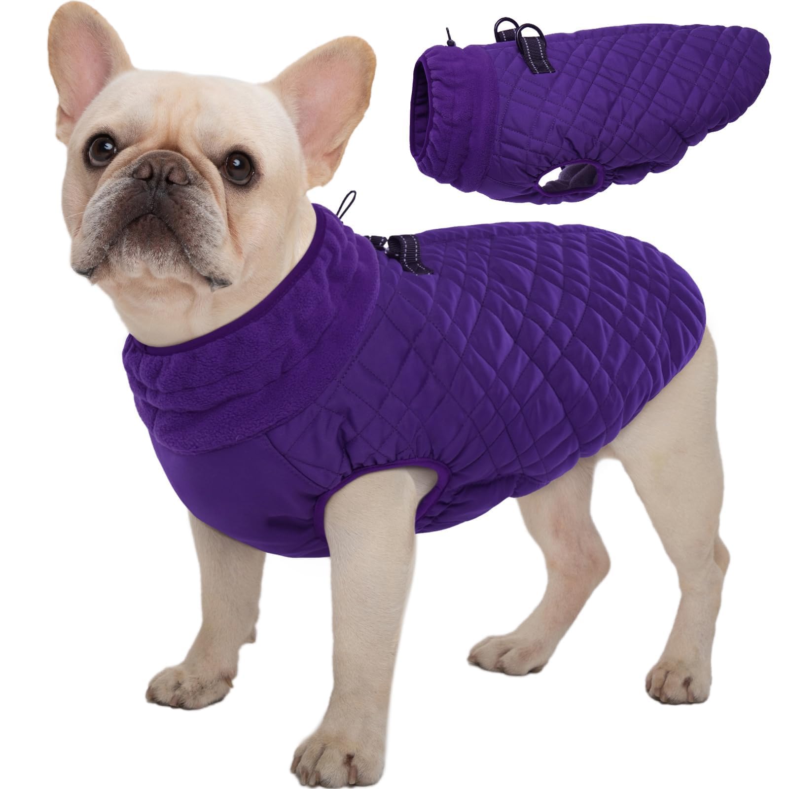 Kuoser Winter Dog Coat - Medium Dog Cold Weather Jacket, Purple