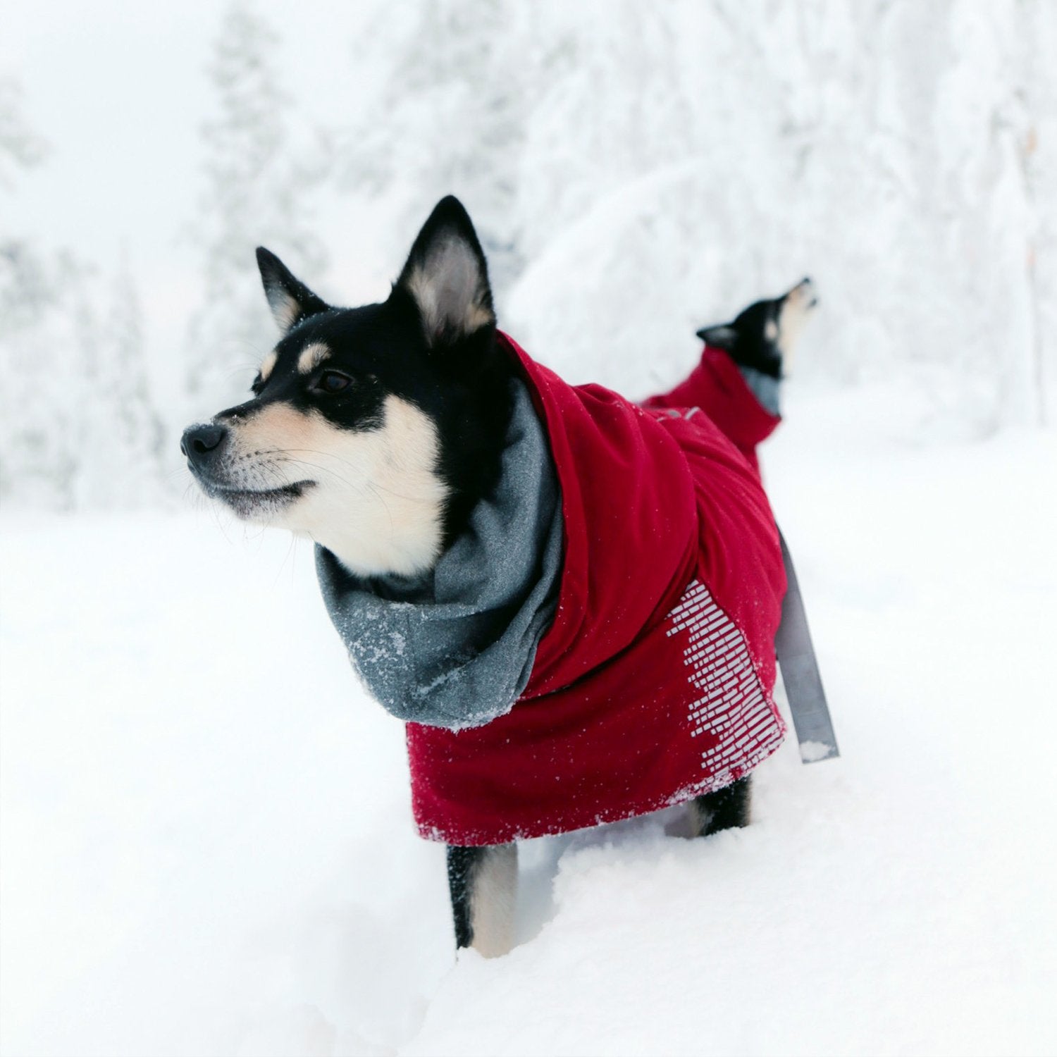 Hurtta Extreme Warmer Dog Winter Jacket, Lingon, 26 In