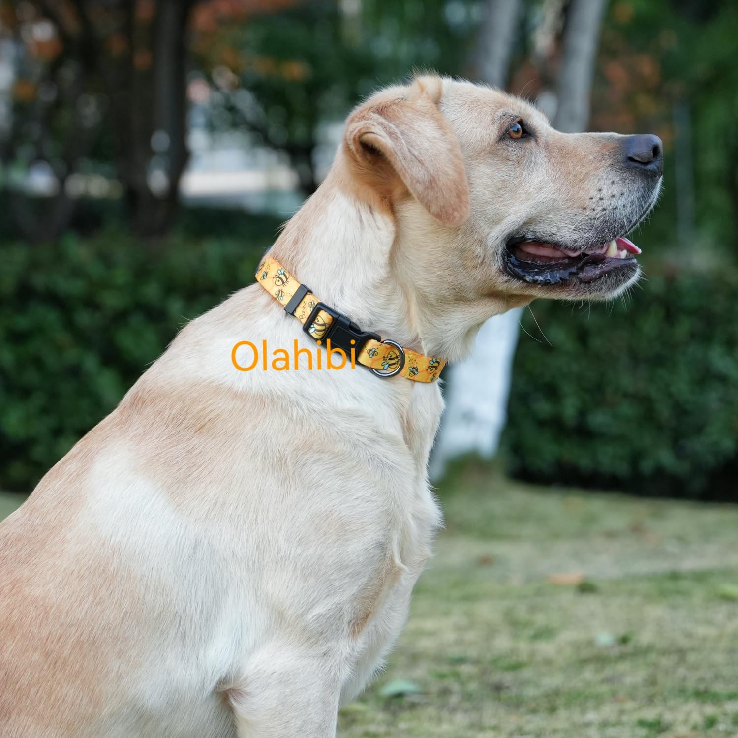 Olahibi Basic Dog Collar, Busy Bee Pattern, Polyester Material, 4 For Small Medium Large Dogs.(S, Yellow Bee)