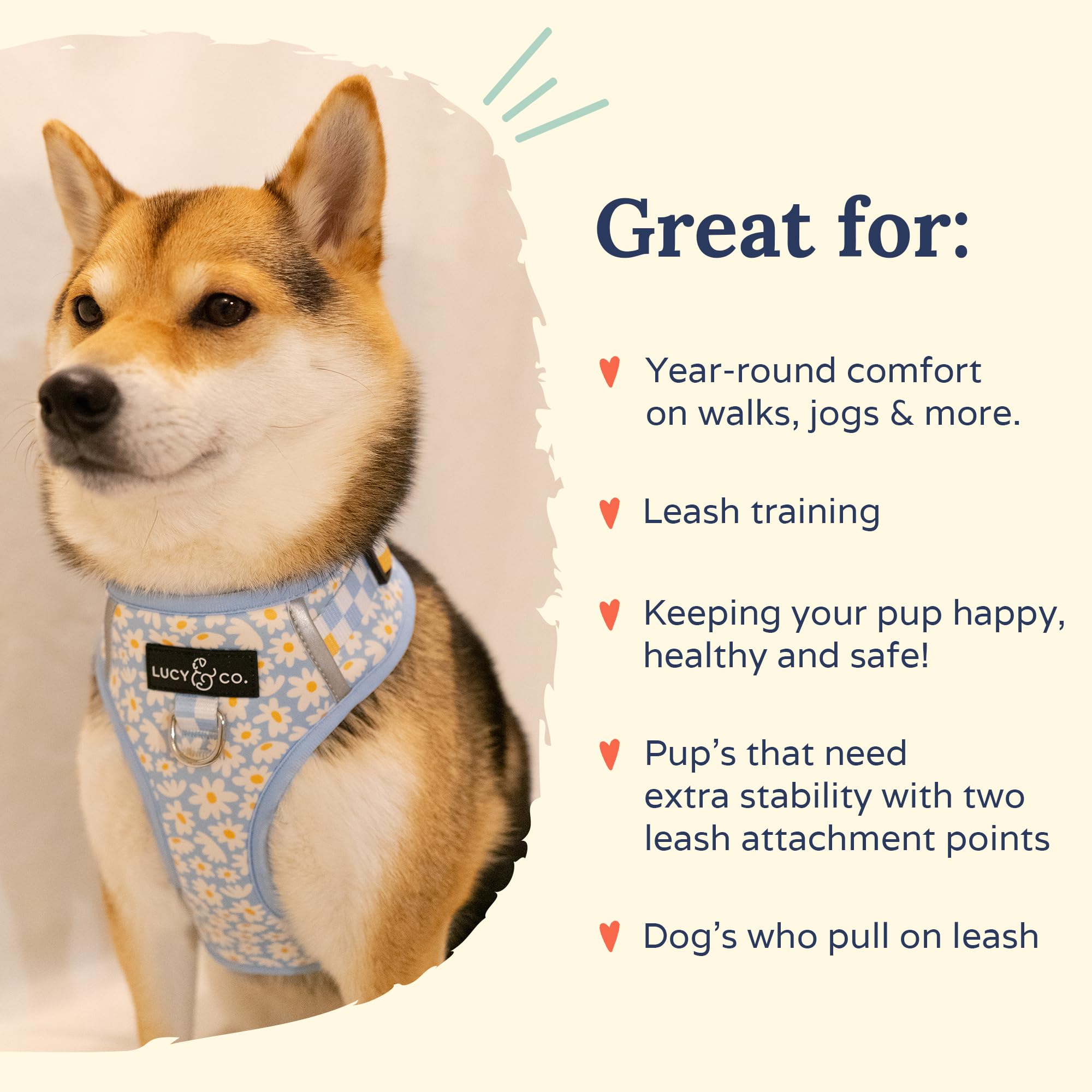 Lucy & Co. The Simply Splendid No-Pull Dog Harness - Size Medium - Vest to Stop Pulling & Walk Easy - Comfortable Leash Training
