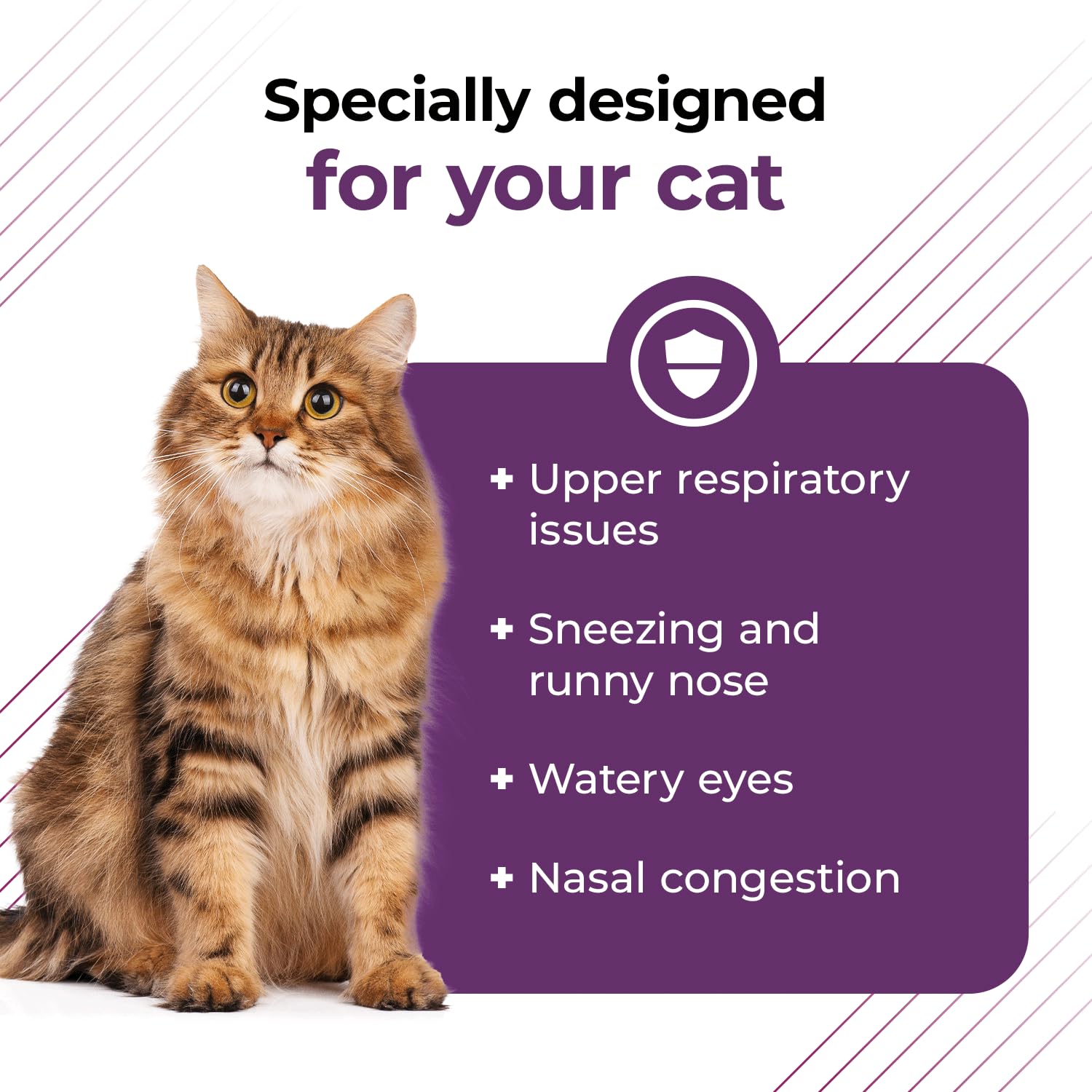 VetriScience Ultimate Strength Lysine Immunity Health Powder for Cats & Kittens, Supplement for Allergy & Nasal Support, Sneezin