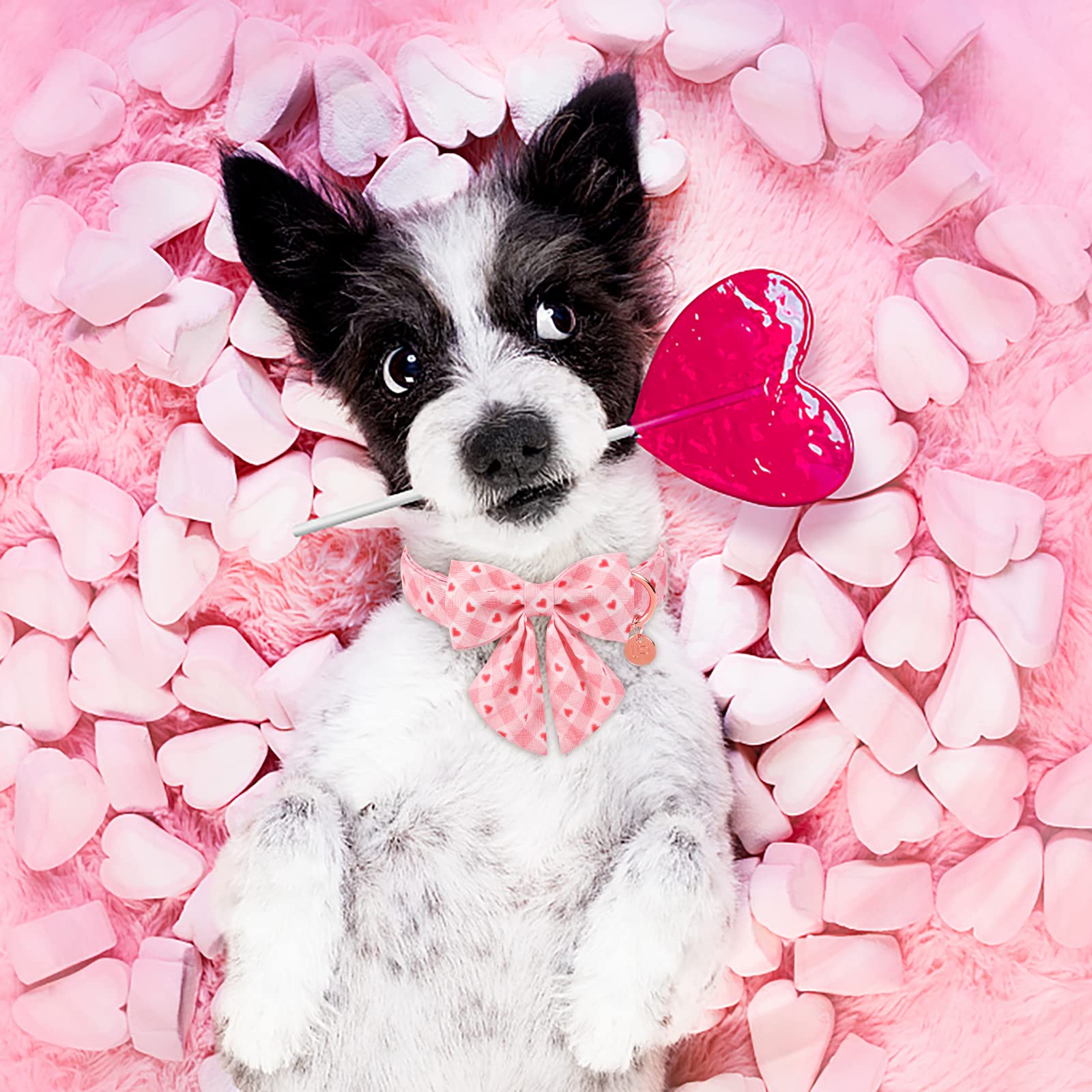 Up Urara Pup Valentine Dog Collar With Bow Tie, Valentine Bowtie Collar For X-Large Girl Boy Dog, Cotton Collar With Metal Buckle, Valentine’S Day Gift Pet Collar, Xl, Neck 16-26In, Pink Plaid