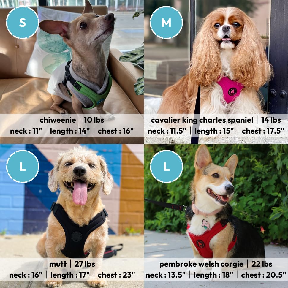 Gooby - Escape Free Sport Harness, Small Dog Step-In Neoprene Harness For Dogs That Like To Escape Their Harness, Lime, Small