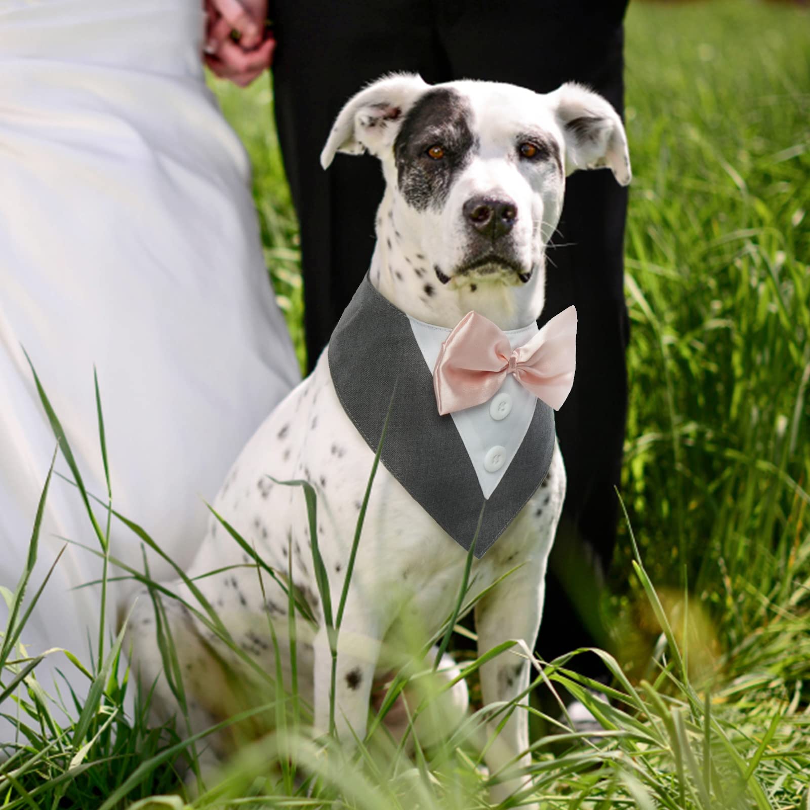 Fuamey Dog Tuxedo,Formal Dog Wedding Bandana Dog Collar With Bow Tie Dog Birthday Costume Adjustable Pet Party Tux Dog Wedding Attire,Dog Valentines Outfit Cosplay For Small Medium Large Pets Grey Xl