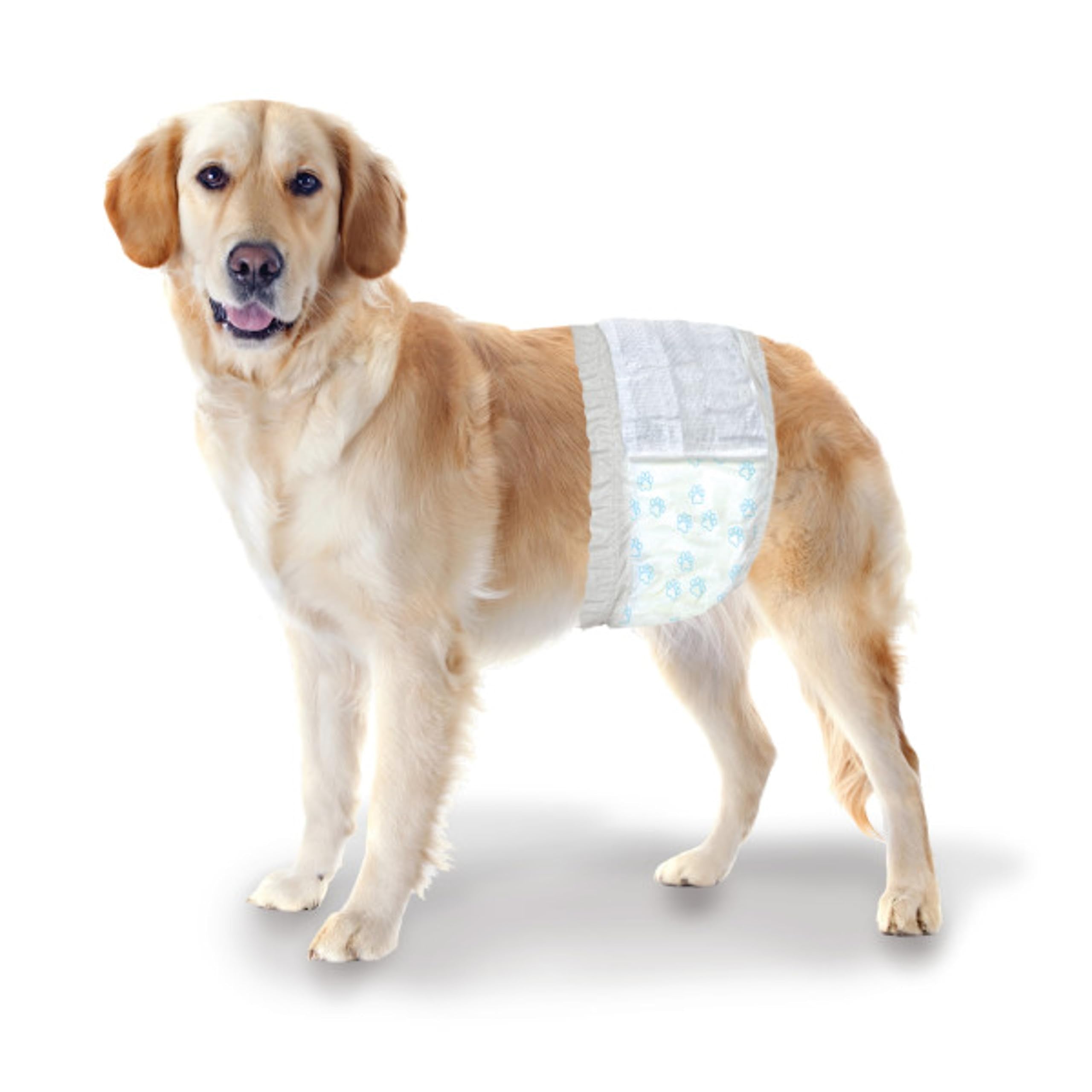 Four Paws Wee Wee Disposable Male Dog Wraps Medium/Large
