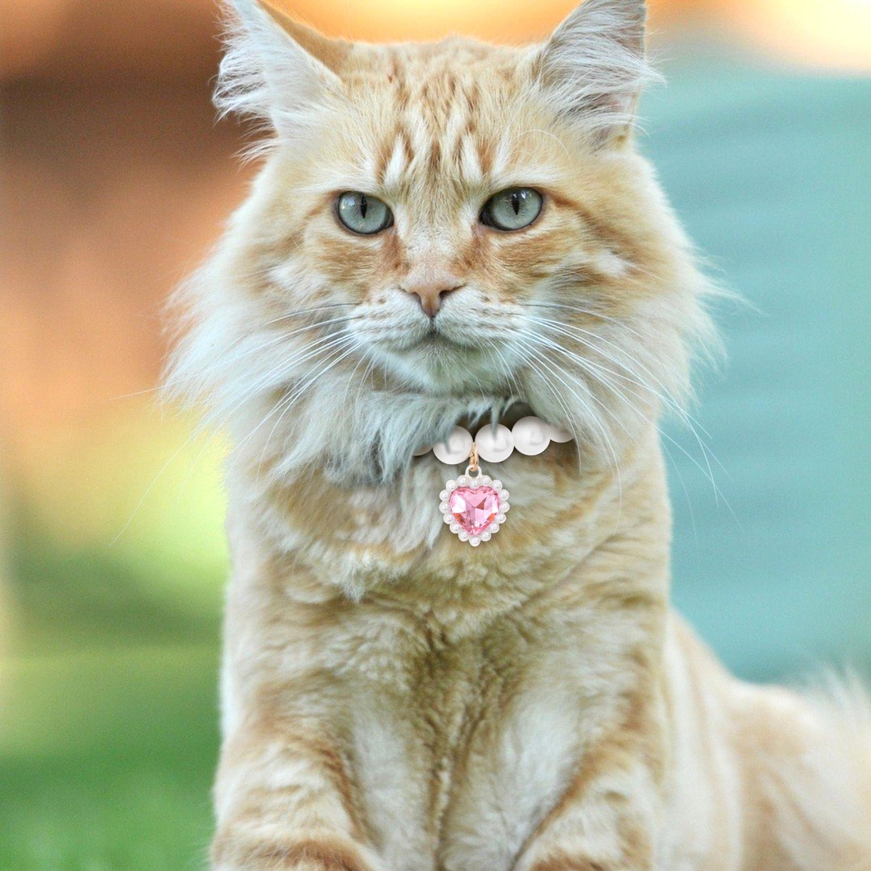 Mxxipp Cat Pearl Collar With Heart Pendant, Cute Pearl Pet Necklace In Medium, Adjustable Wedding Party Small Dog Jewelry Access