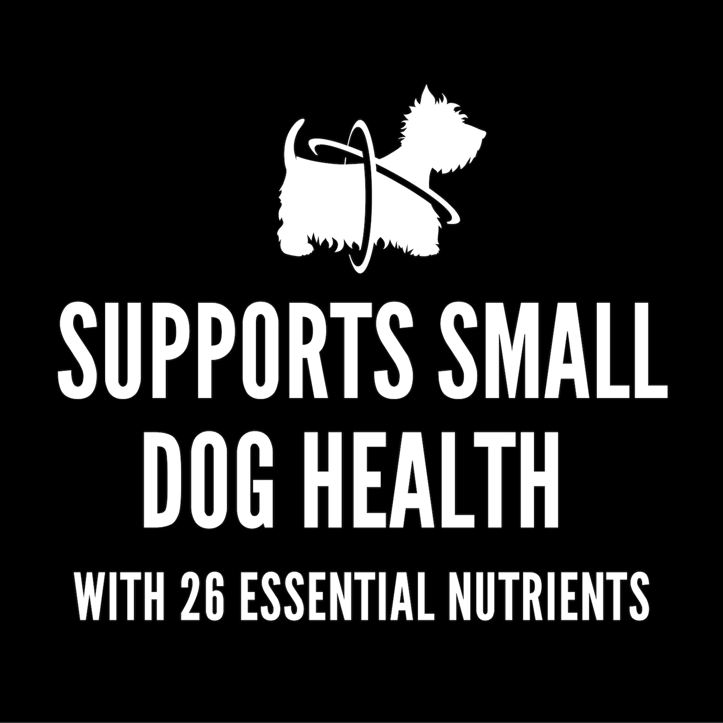 CESAR Small Breed Dry Dog Food Porterhouse Flavor and Spring Vegetables Garnish, 5 lb. Bag