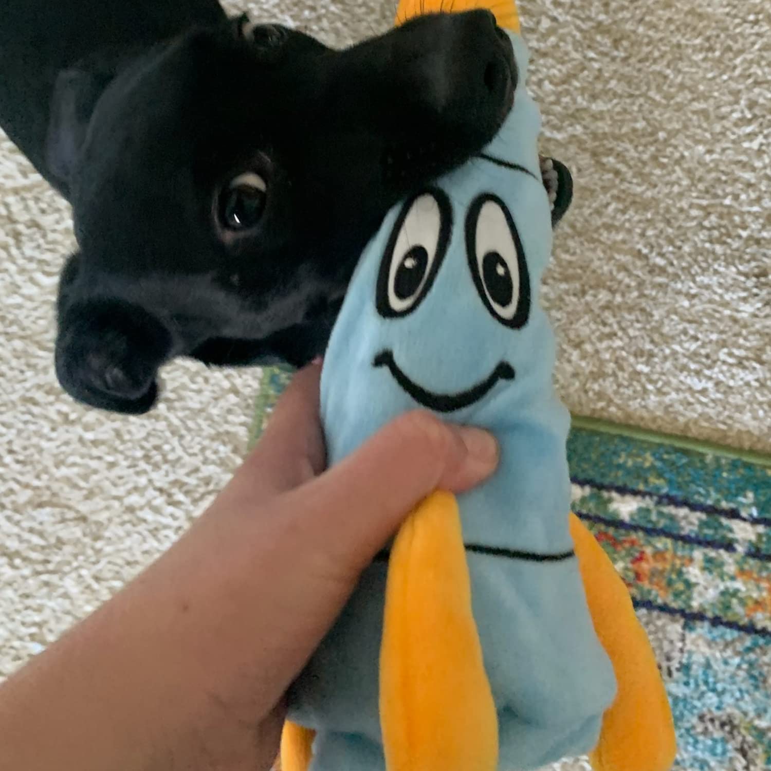Smartpetlove Snuggle Puppy Tender-Tuffs - Water Bottle Cruncher With No Squeaker - Rocco Rocket Bottle Cover Dog Toy