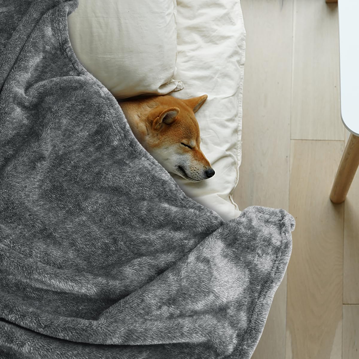 Onarway Dog Blanket Washable For Bed: Dog Blankets 78   X70    - Fluffy Soft Large Throw For Cat Puppy Kitten Dogs - Fleece Pet