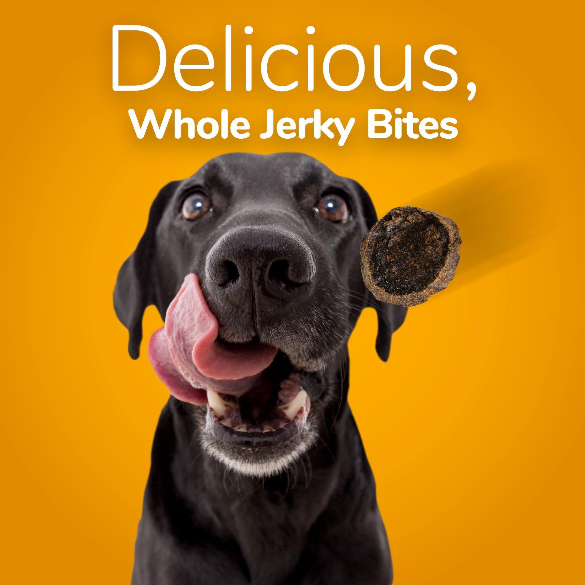 Fruitables Dog Treats - Whole Jerky Bites - Grilled Bison Dog Treats - Healthy Dog Treats - 5 Ounces