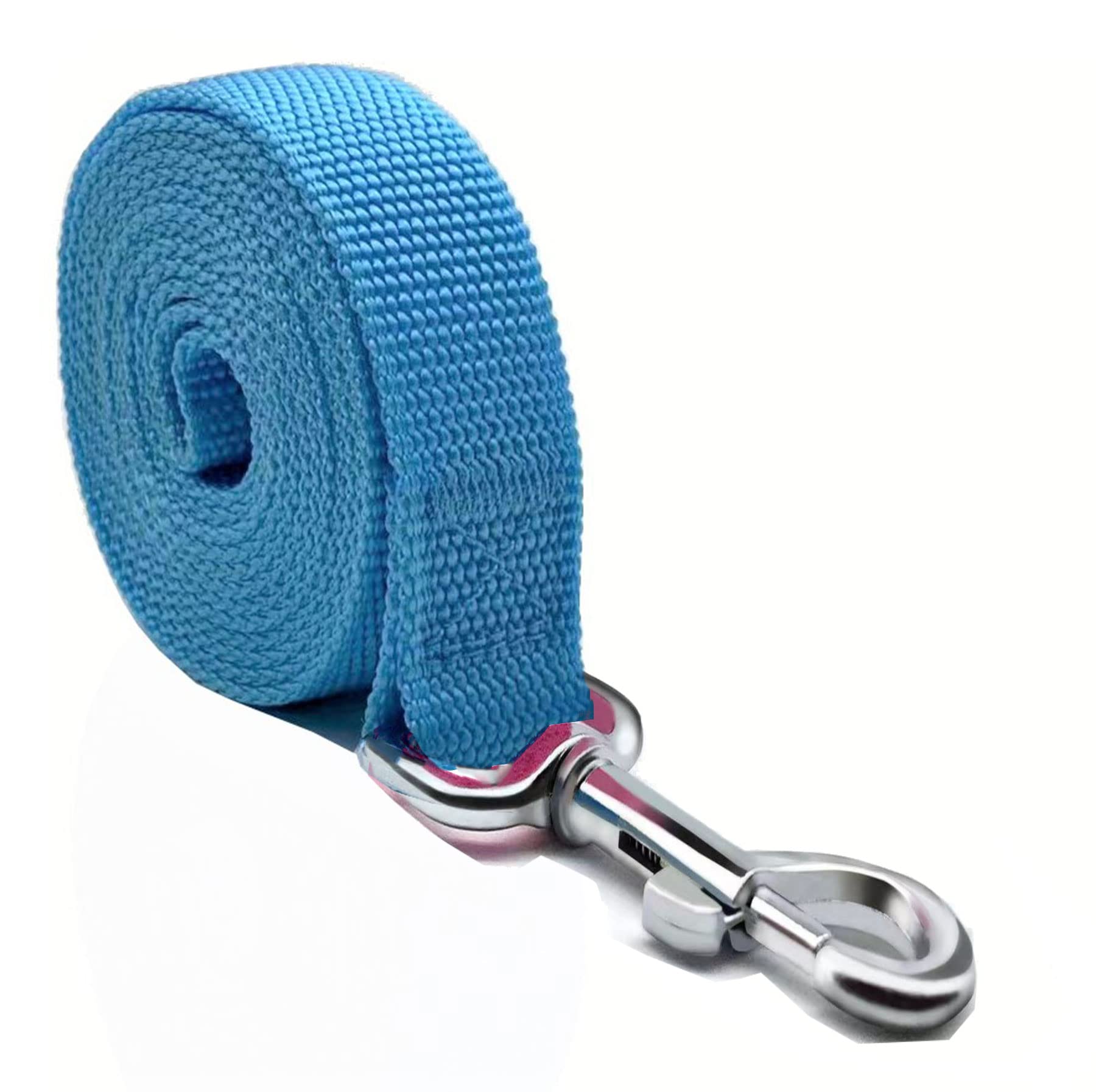 Nylon Dog Leash 8 Feet Long, Walking Training Dog Leashes For Medium Large Dogs(1'' X 8 Ft, Blue)