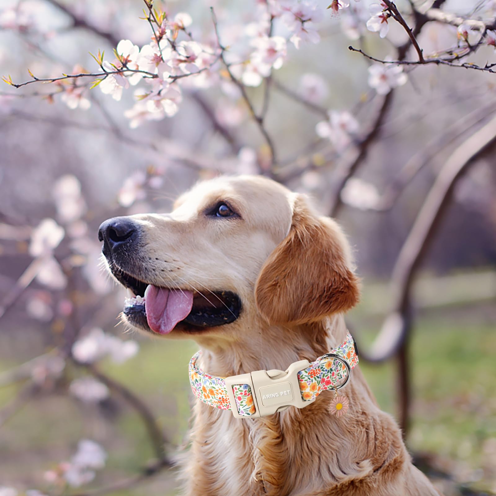 Aring Pet Summer Dog Collar-Cute Dog Collar For Small Dogs, Adjustable Cotton Floral Pet Collars Puppy Collar For Small Medium L