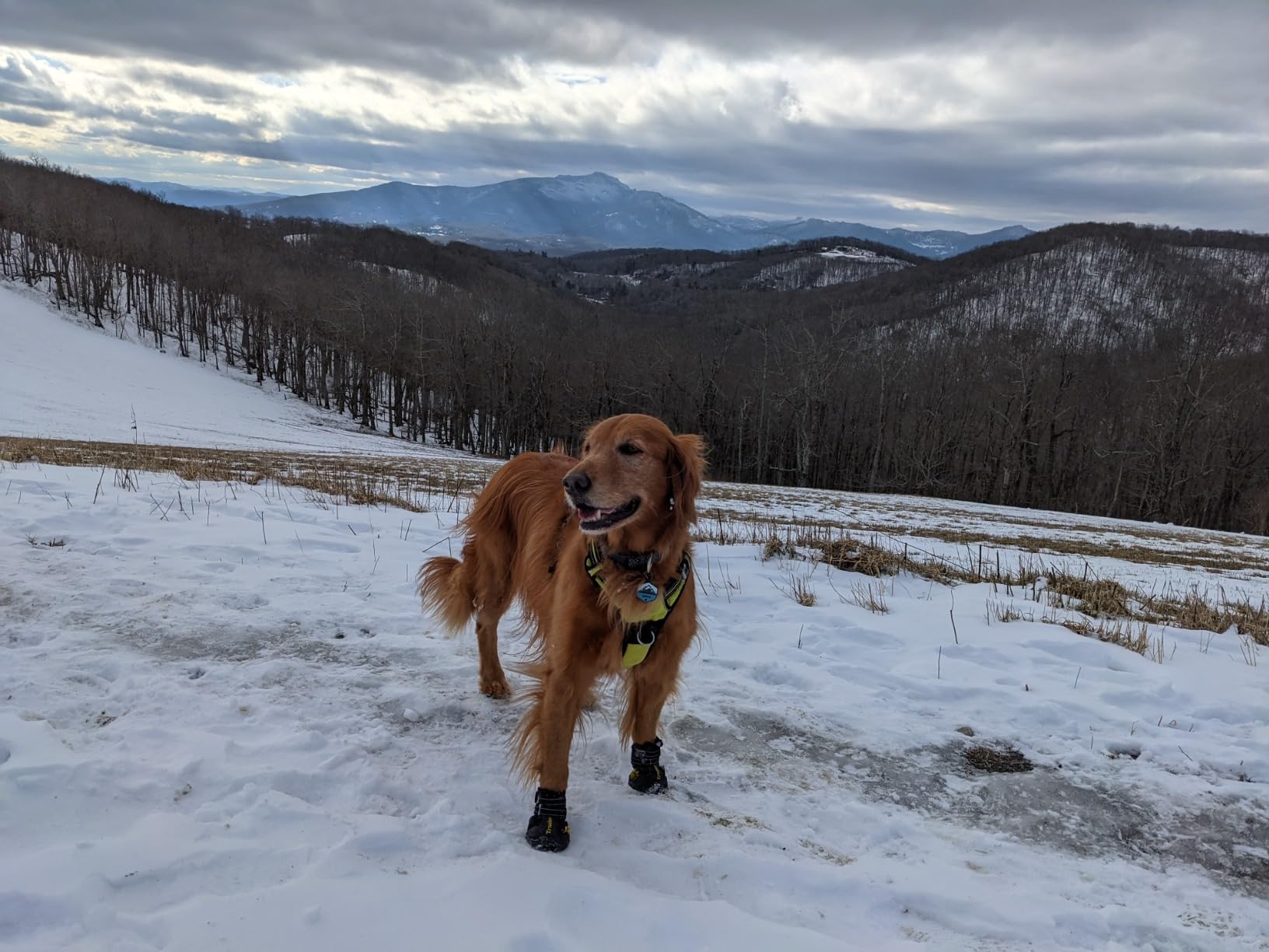 Expawlorer Anti-Slip Shoes For Large Dogs, Booties With Rugged Sole And Reflective Strap, Waterproof Rain Boots, Paw Protectors