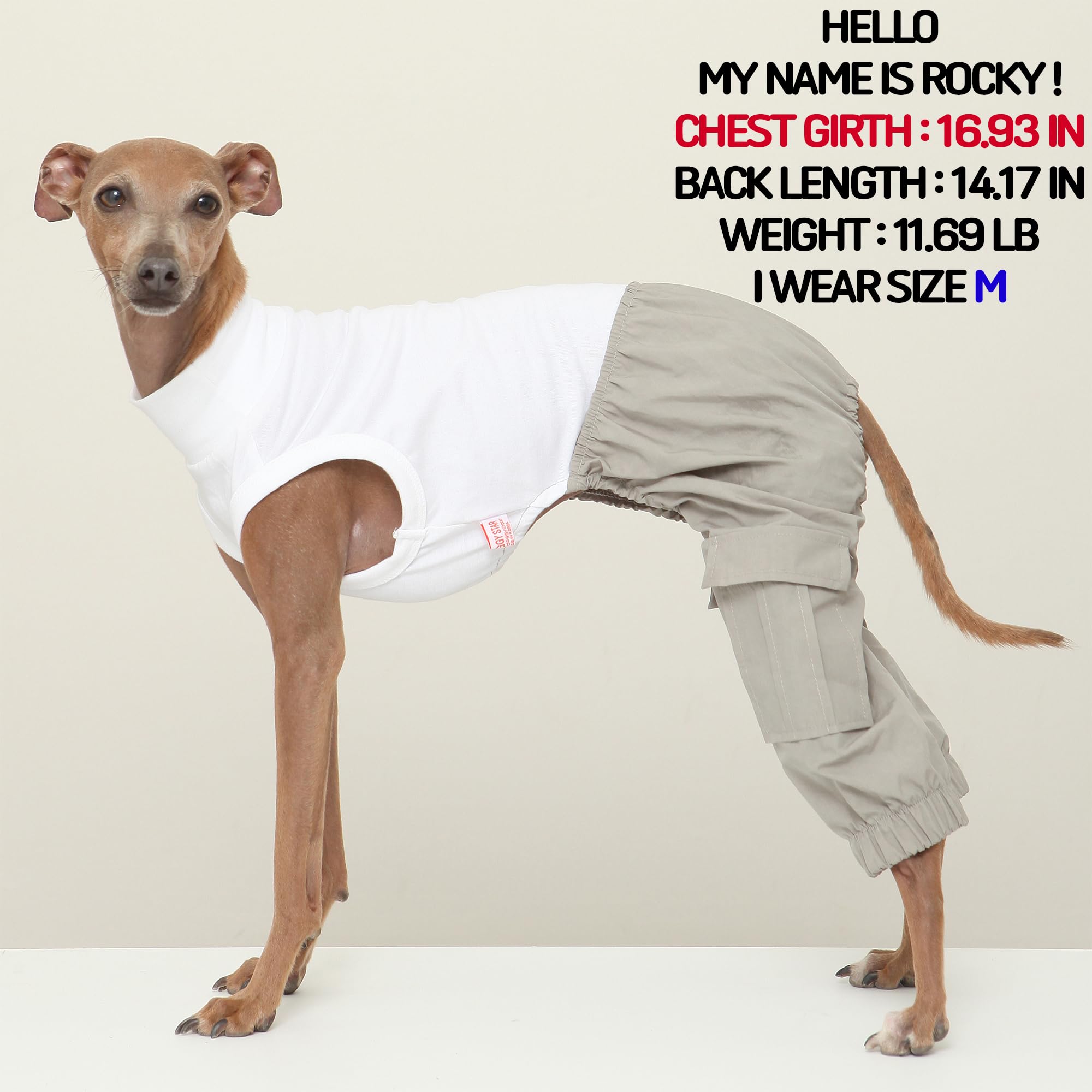 D Doggy Star Italian Greyhound Clothes Cargo Pants Onesie Outfit Whippet For Dog Coat (2Xl,Grey Cargo)