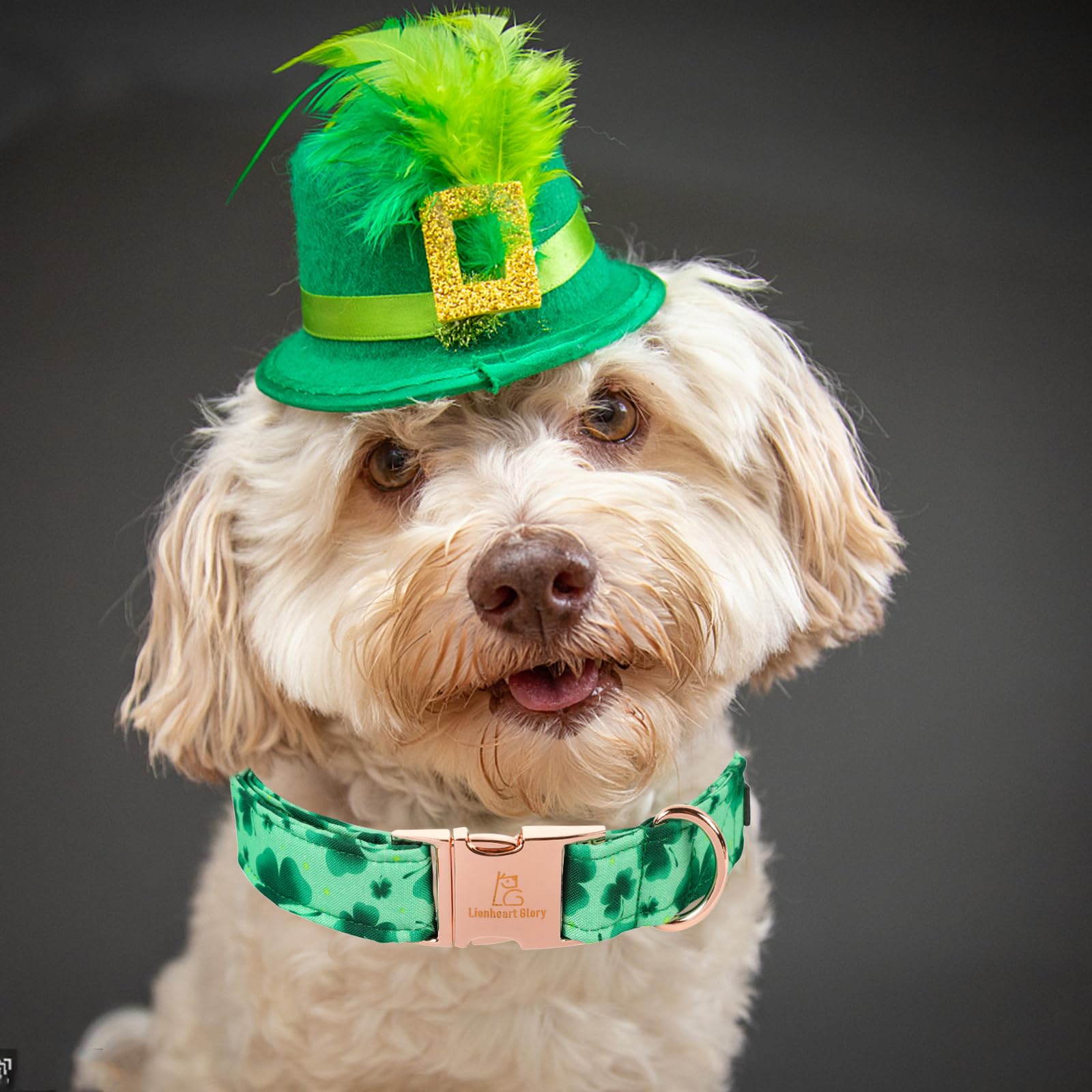 Lionheart Glory St. Patrick Dog Collar, Clover Collars Green Dog Collar For Large Dogs Spring Dog Collar Adjustable Heavy-Duty D