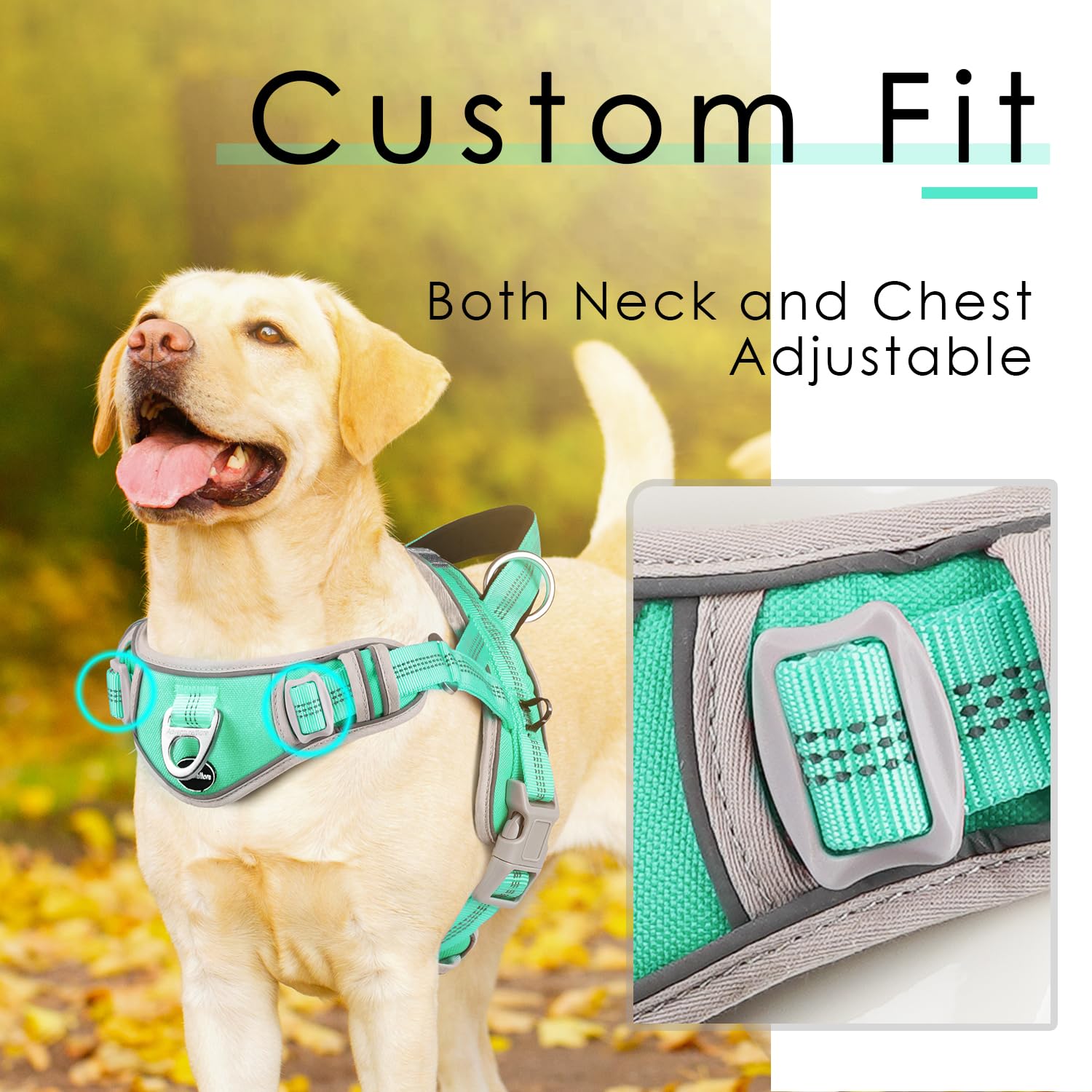 Adventuremore Small Dog No Pull Harness With Qr Code Tag, Reflective Vest, Front Clip Handle For Training Walking - L Teal
