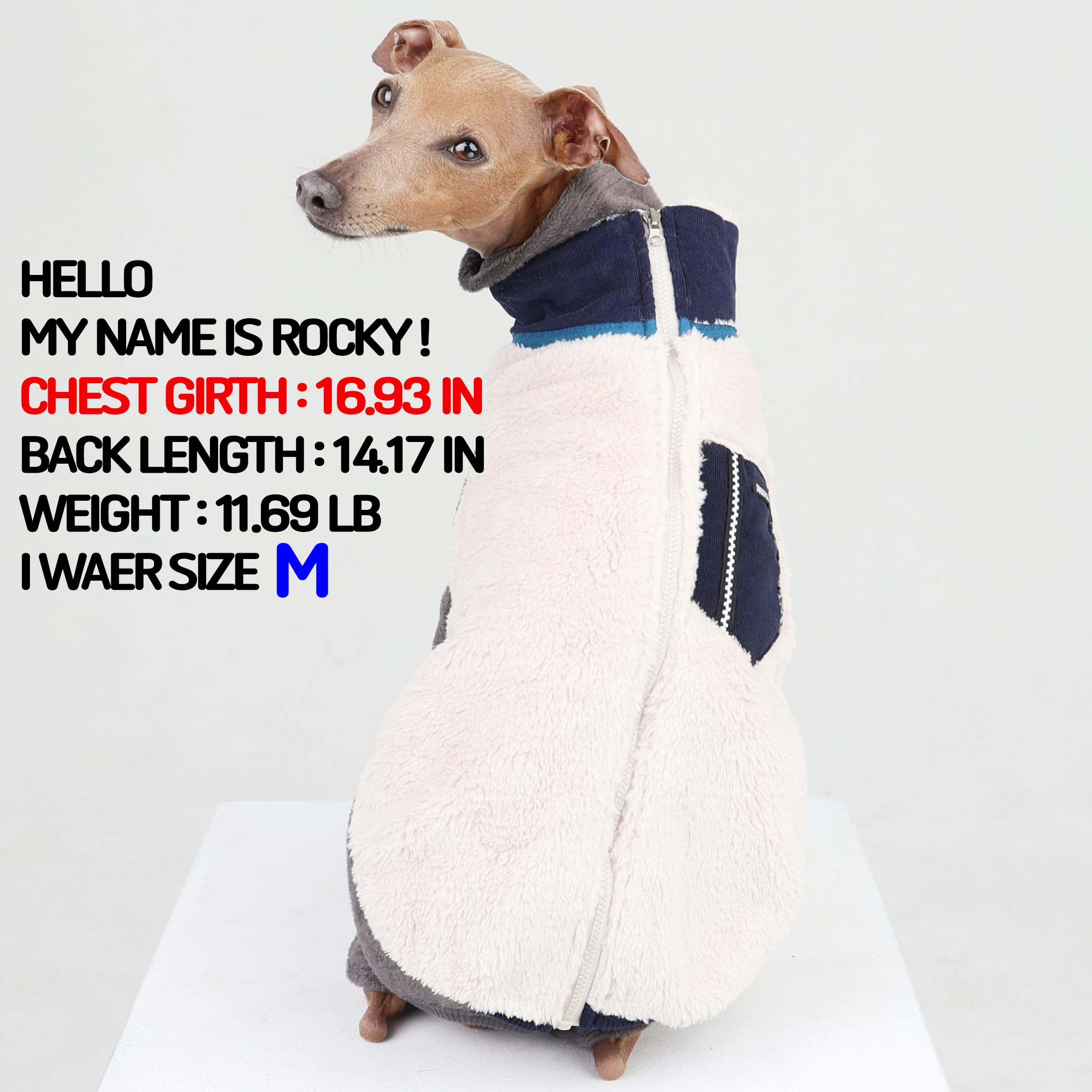 D Doggy Star Italian Greyhound Warm Fleece Zip-Up Sweater Jacket Outfit Clothes Whippet For Dog Coat (L,Zipup Navy)